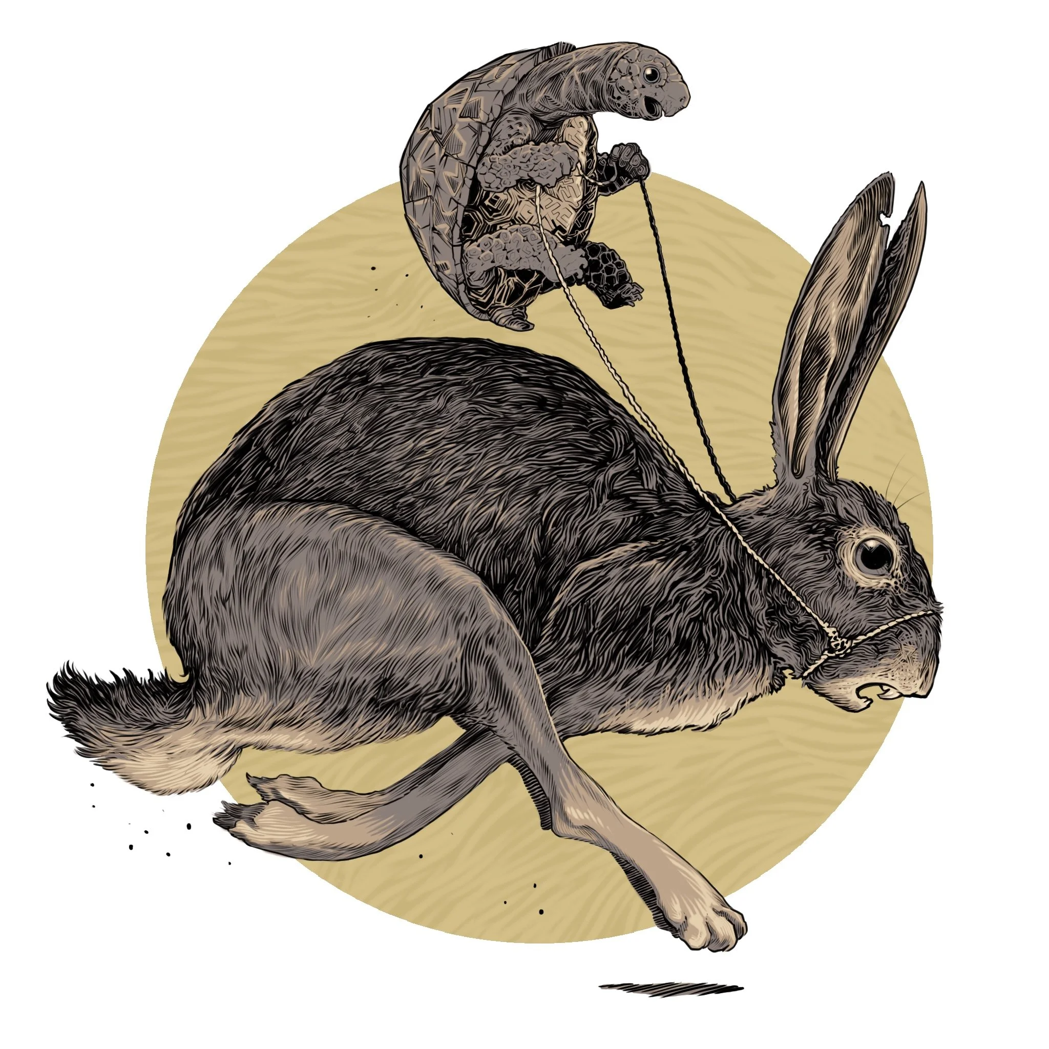 a Torts_And_The_Hair copy.jpg