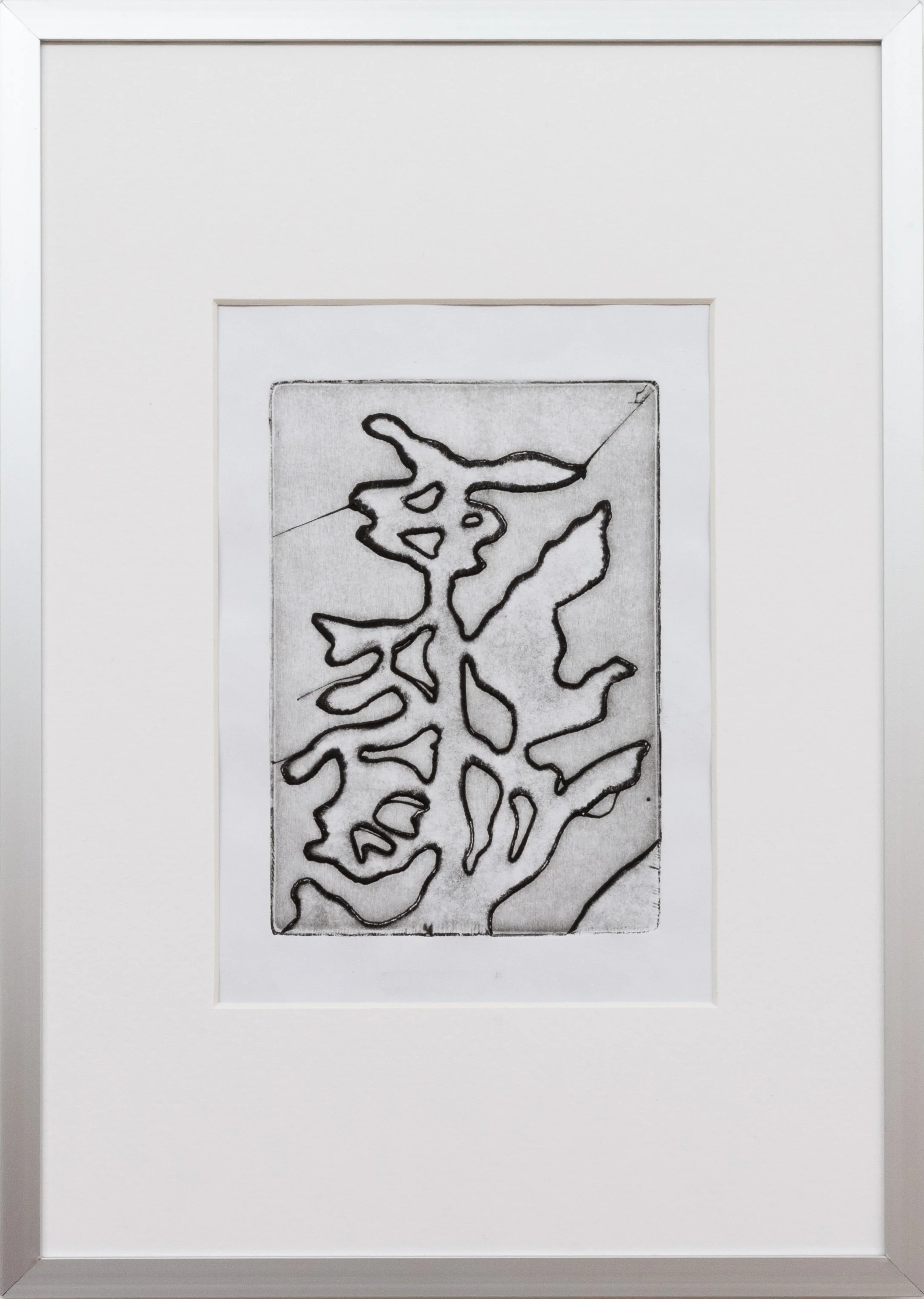 Pianta —&nbsp;#1 (2/2)