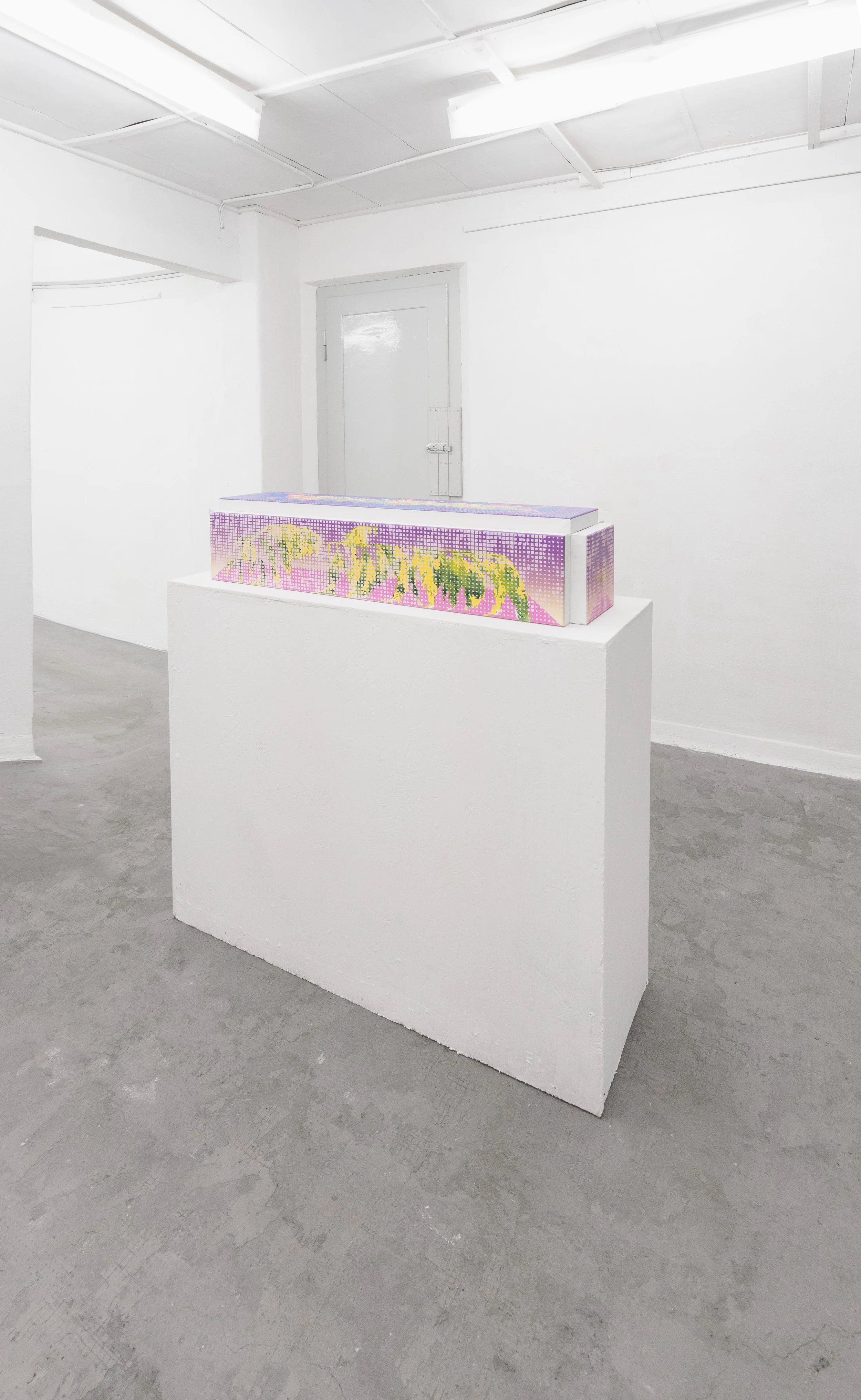 VRD-C - DSC08349 copy.jpg