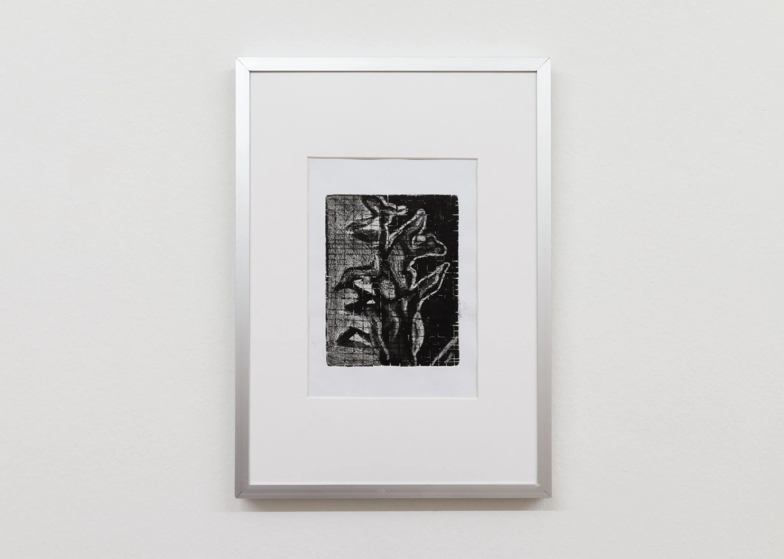 2017-Pianta-No-3-edition-of-unique-13x10cm.jpg