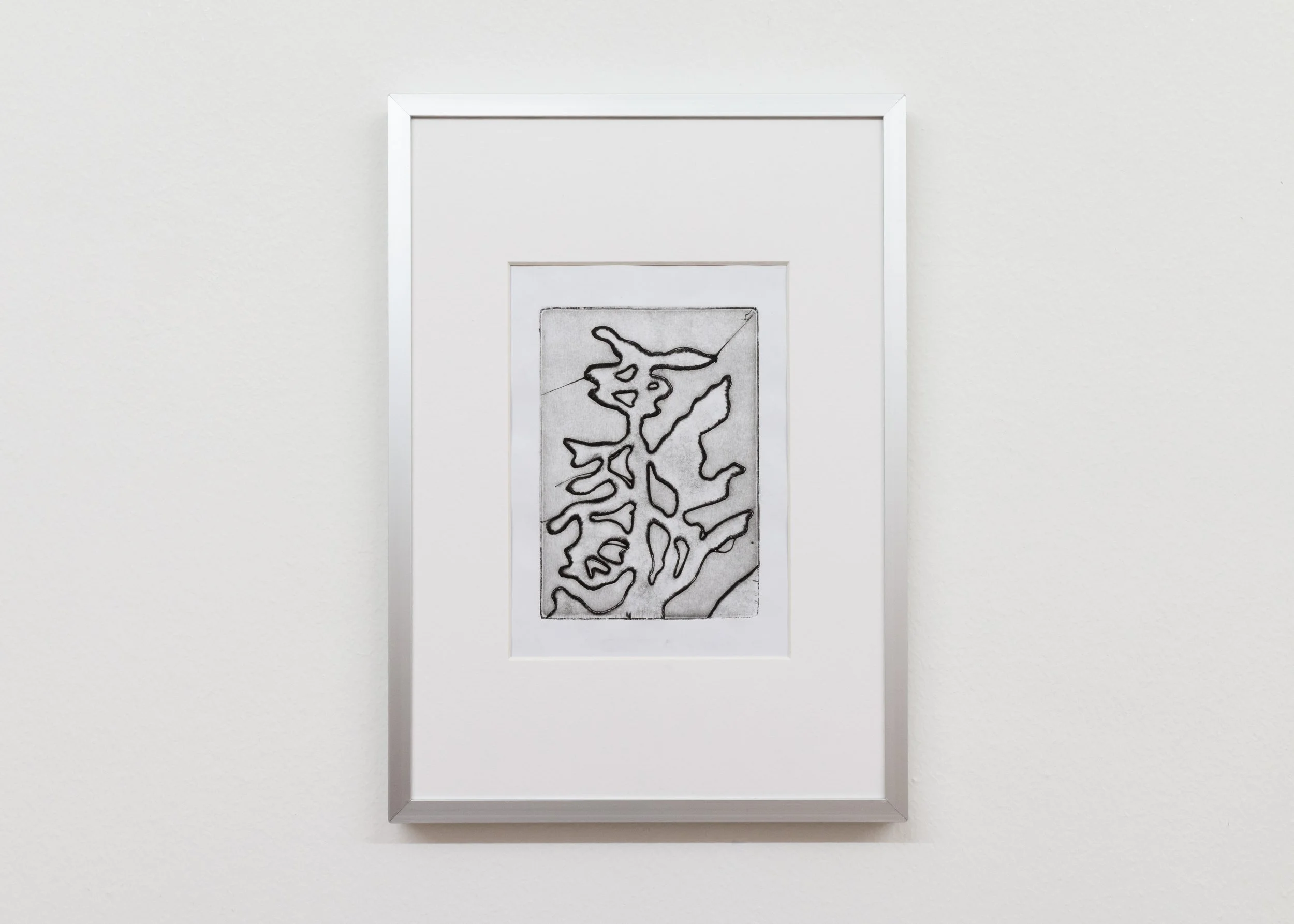 2017-Pianta-No-1-edition-of-2-15x13cm-No-2.jpg