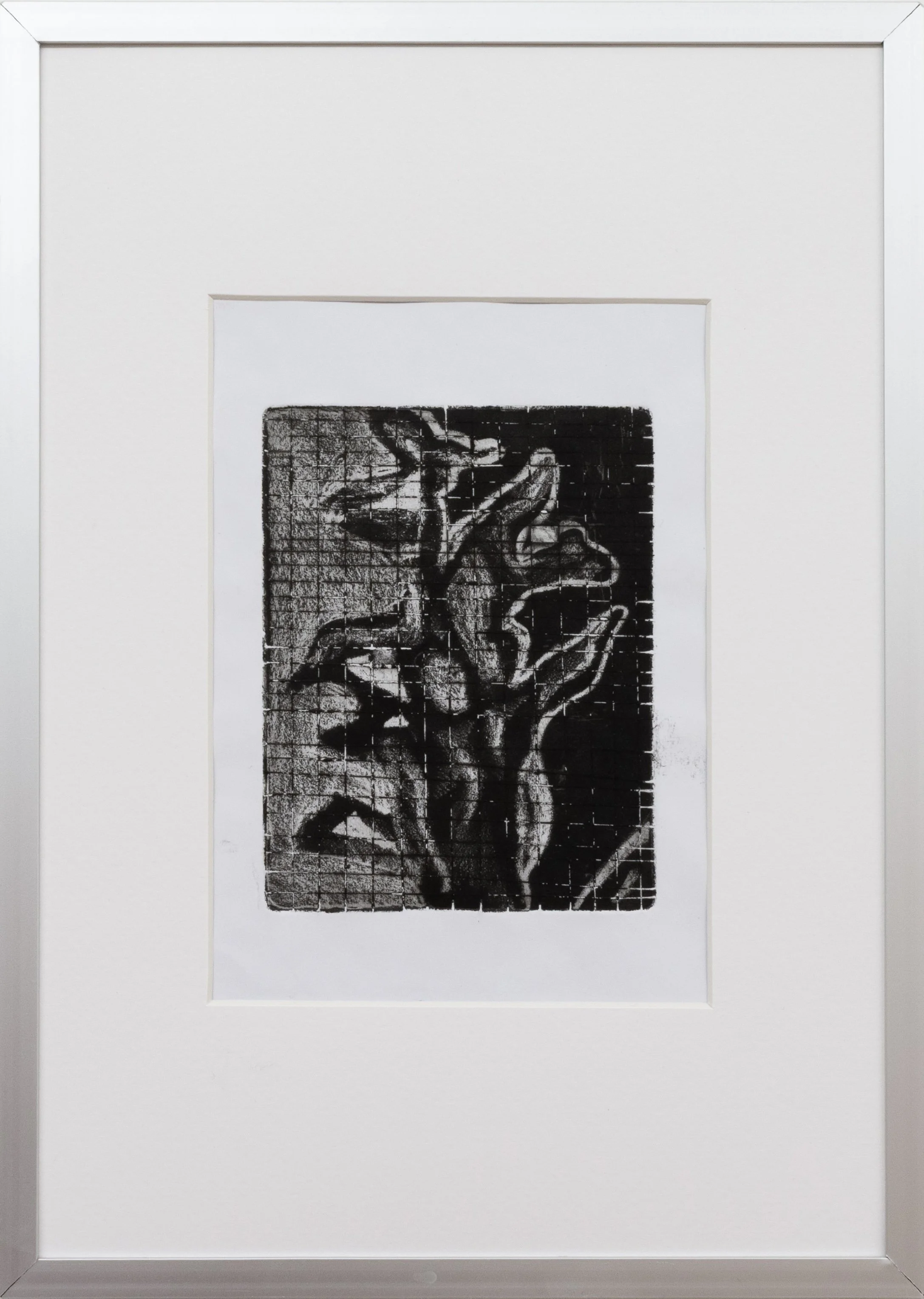 Pianta —&nbsp;#3