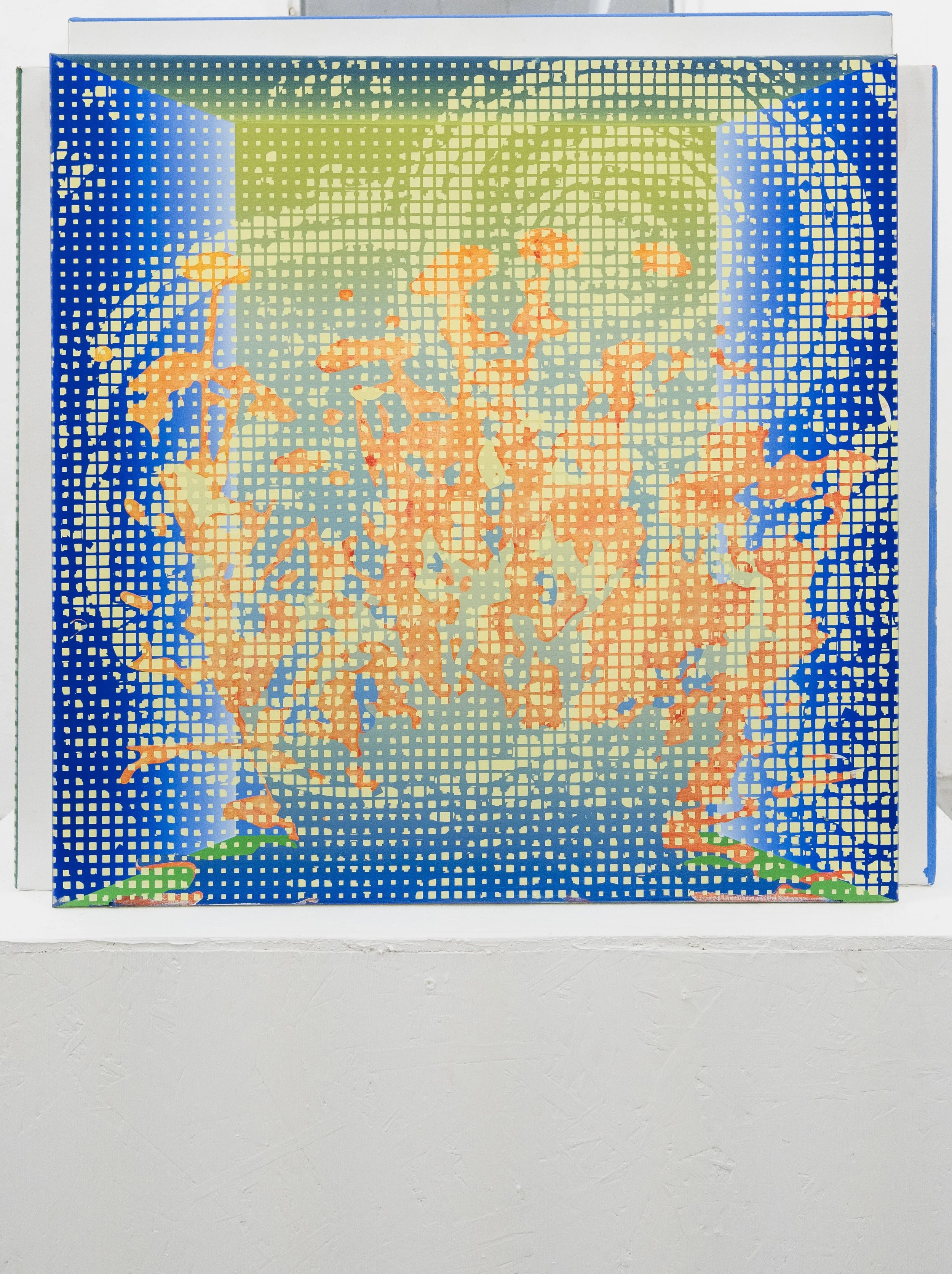 2 - DSC08677 copy.jpg