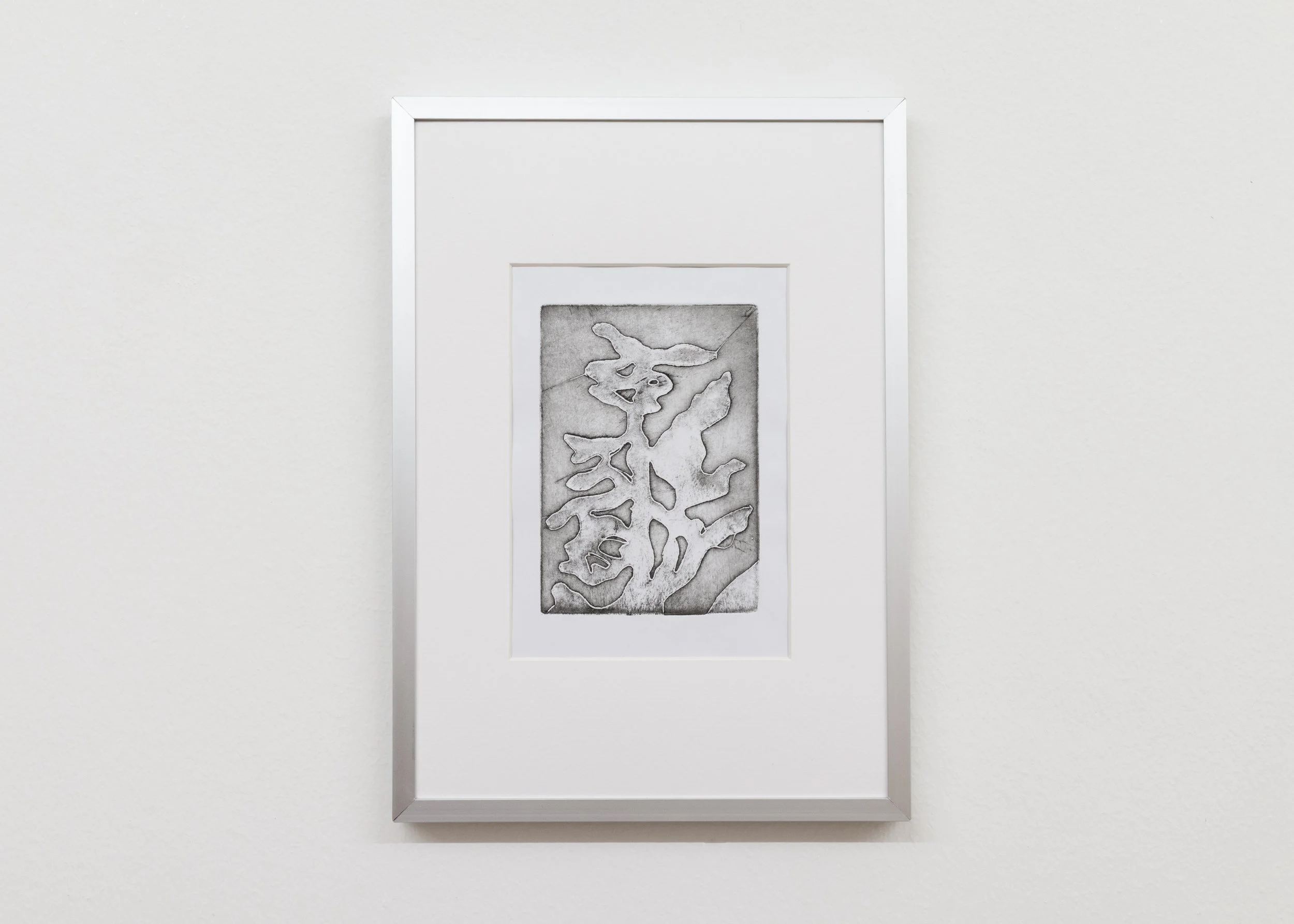 2017-Pianta-No-1-edition-of-2-15x13cm-No-1.jpg