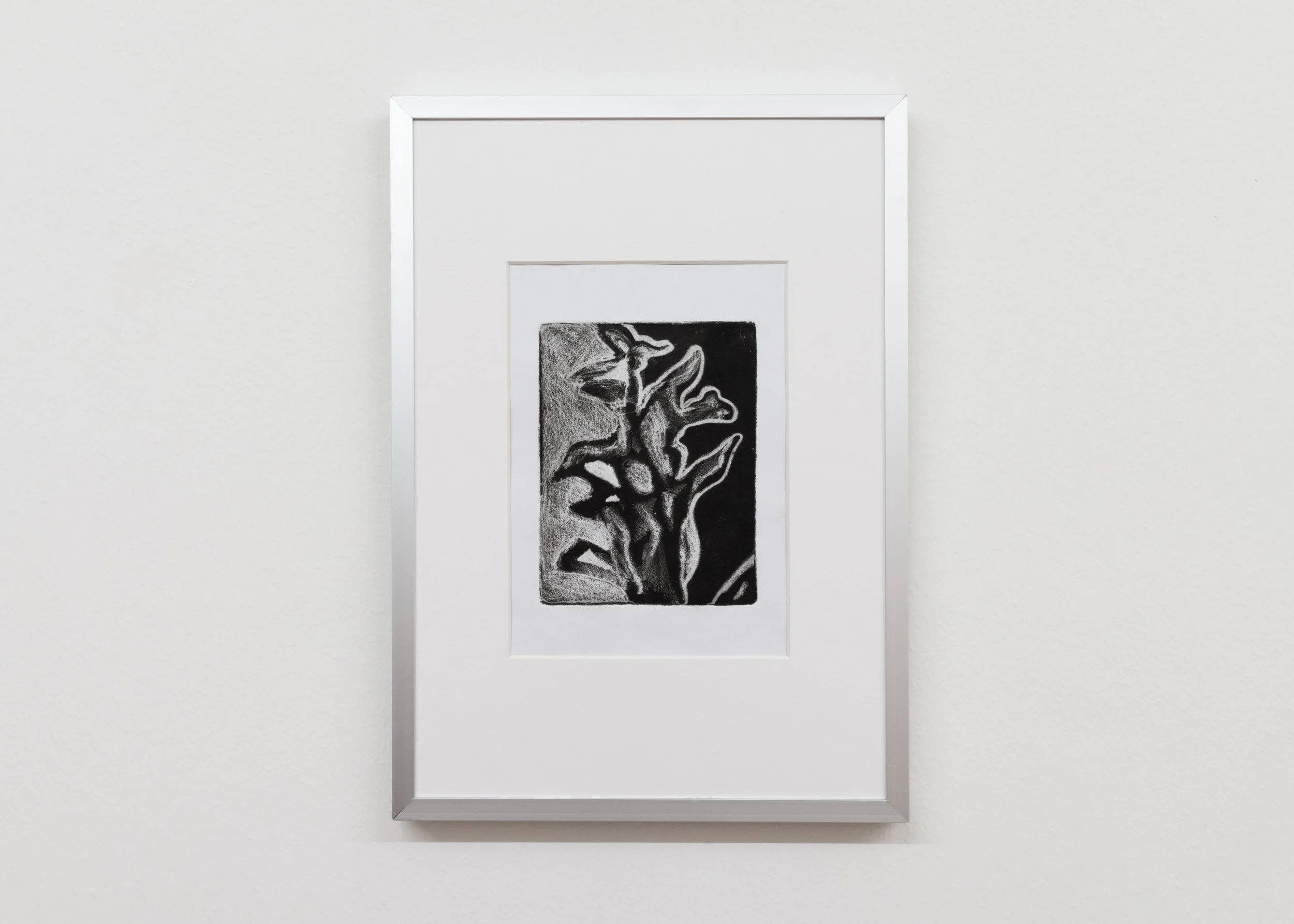 2017-Pianta-No-2-edition-of-2-13x10cm-No-2.jpg