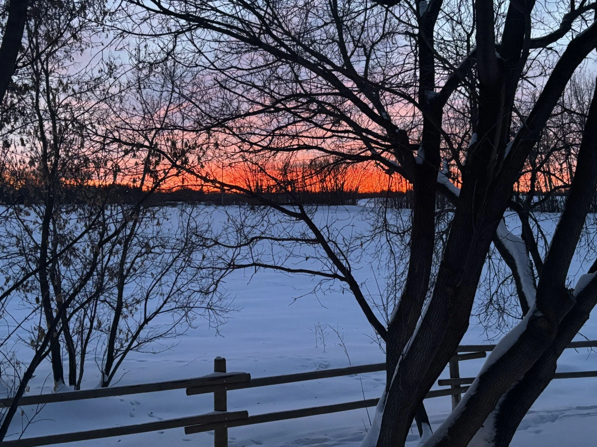 SunsetWinter.jpg