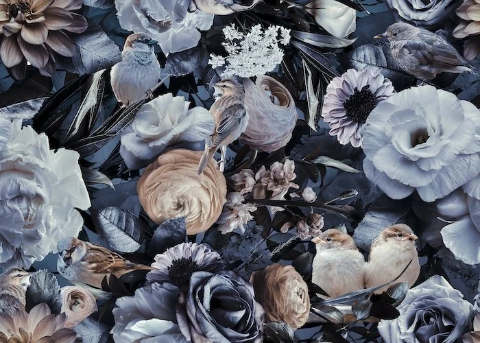 Who Might Need Disability or Leave Support (And Why It’s Not Just “Later in Life”)