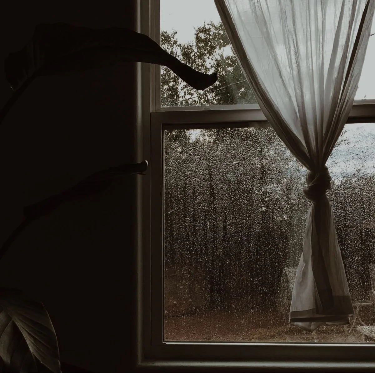 Mid-Week Reflection: Why the Federal Poverty Level Fails as a Measure of Need