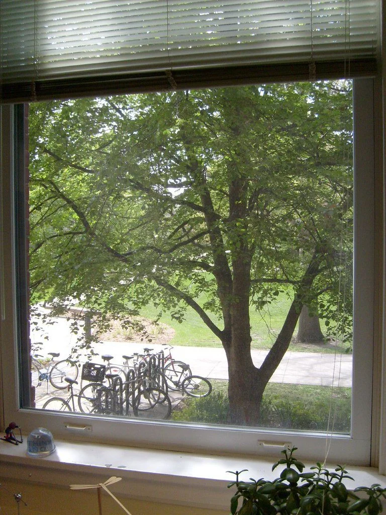Mid-Week Reflection: Clarity Is a Form of Access