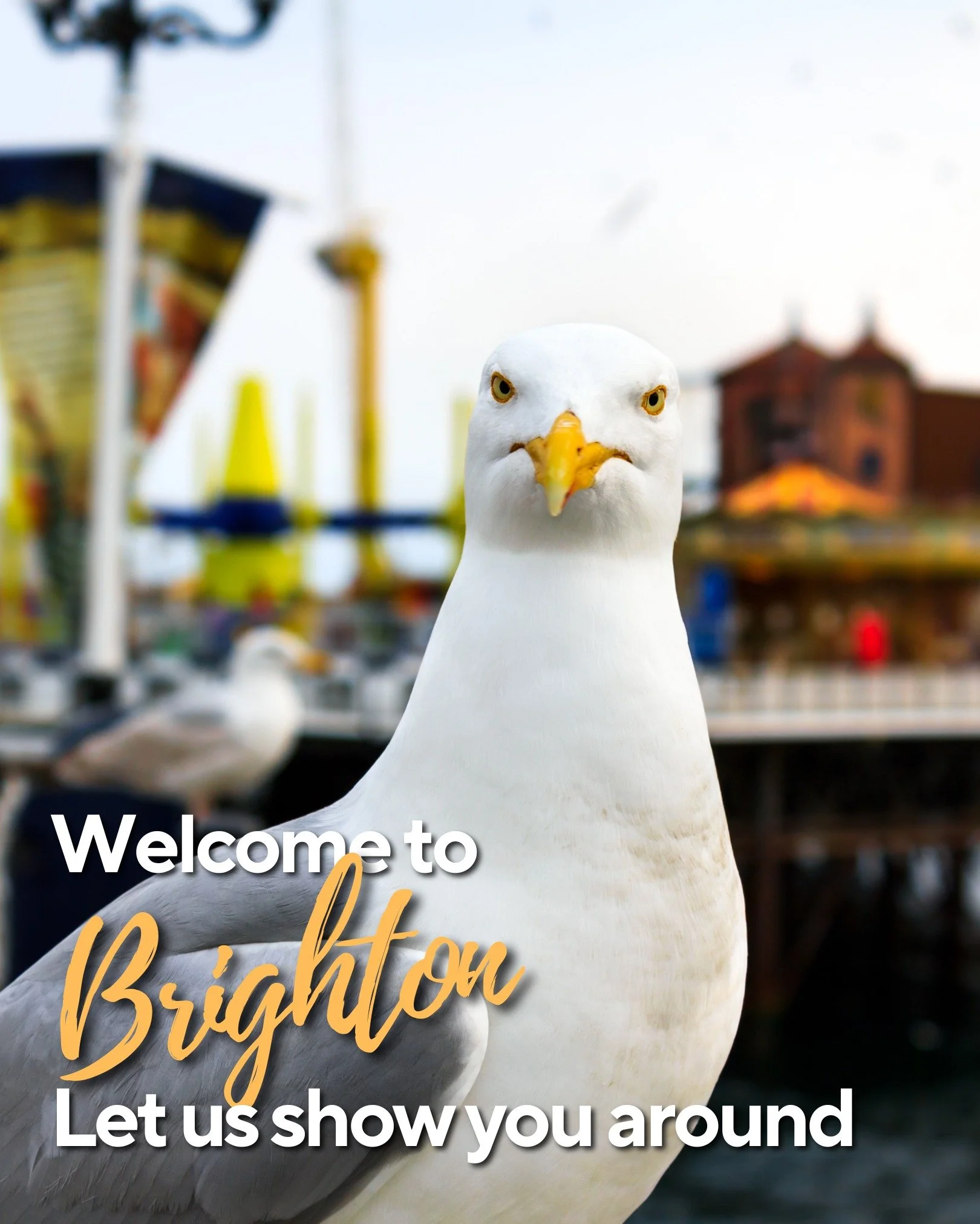 Brighton, we&rsquo;re live. 🍻

From seafront drinks and sunny terraces to historic pubs, cocktails, live sport, events and deals &mdash; your next Brighton visit starts on GetTogether.

Find the places worth knowing about, save your favourites, and 