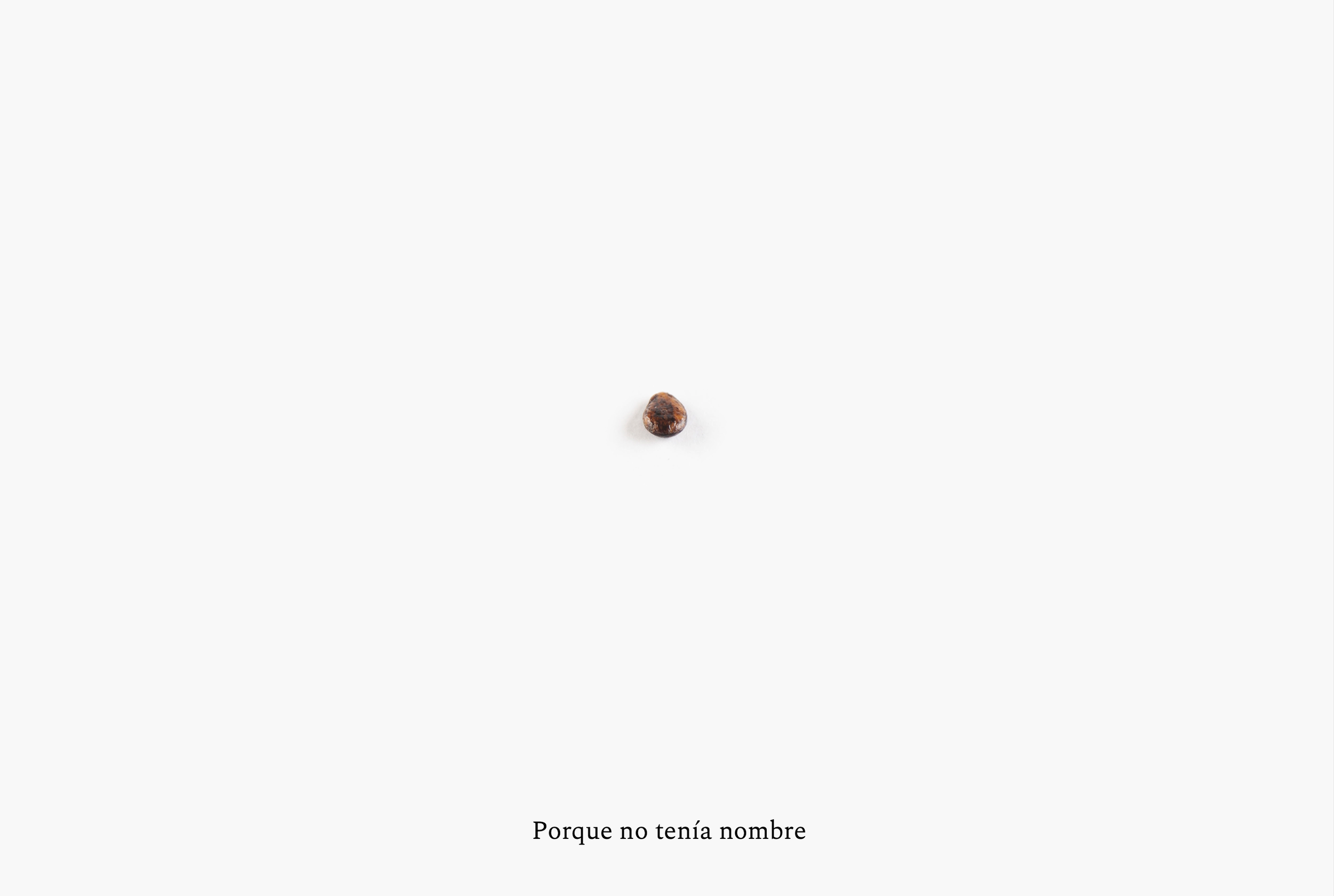 Captura de Pantalla 2026-08-12 a la(s) 16.16.11.png