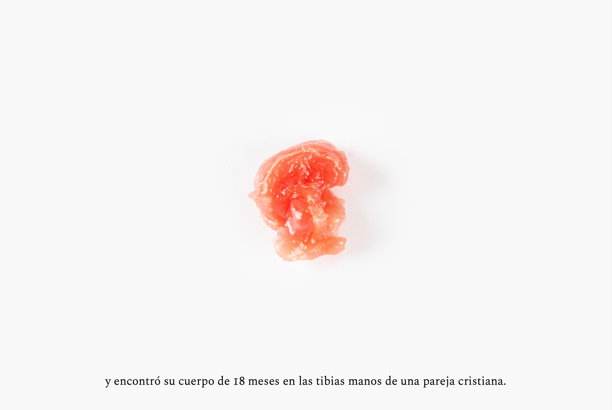 Captura de Pantalla 2026-08-12 a la(s) 16.17.14.png
