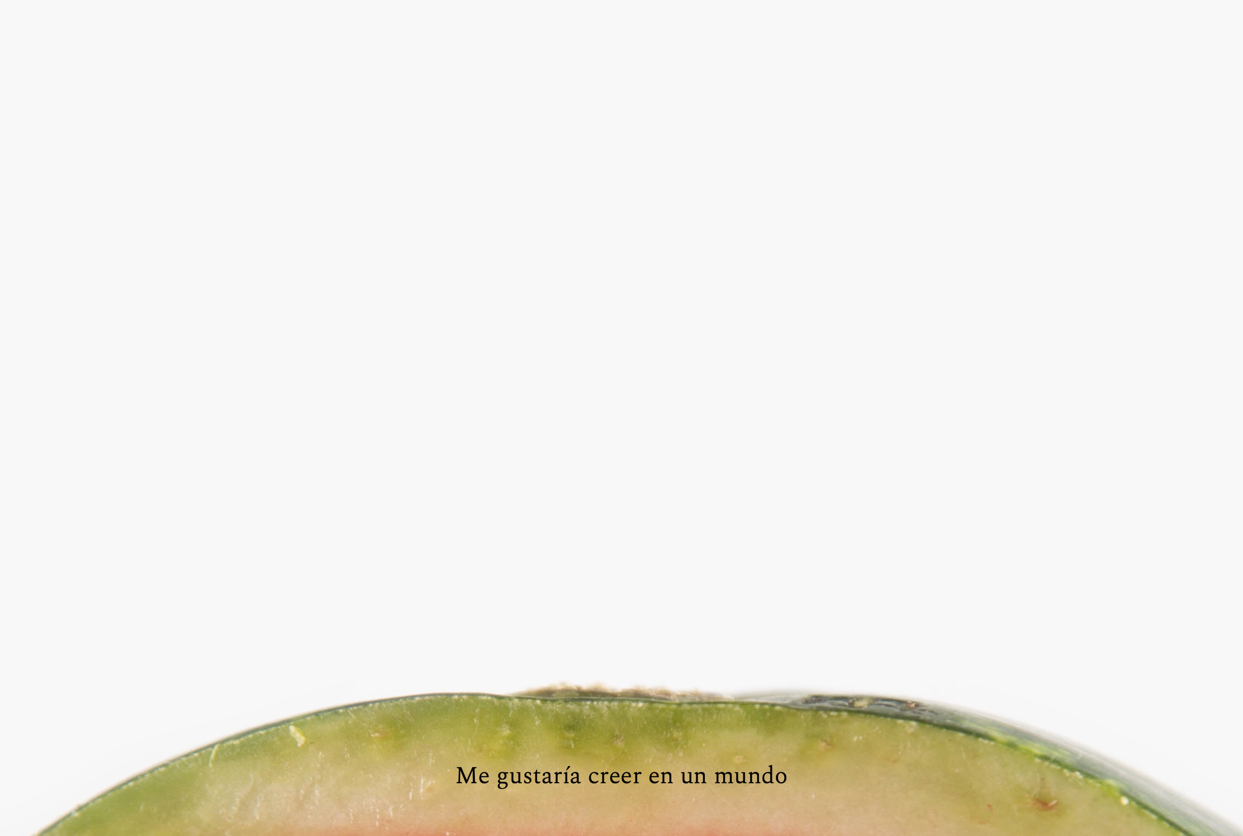 Captura de Pantalla 2026-08-12 a la(s) 16.17.24.png