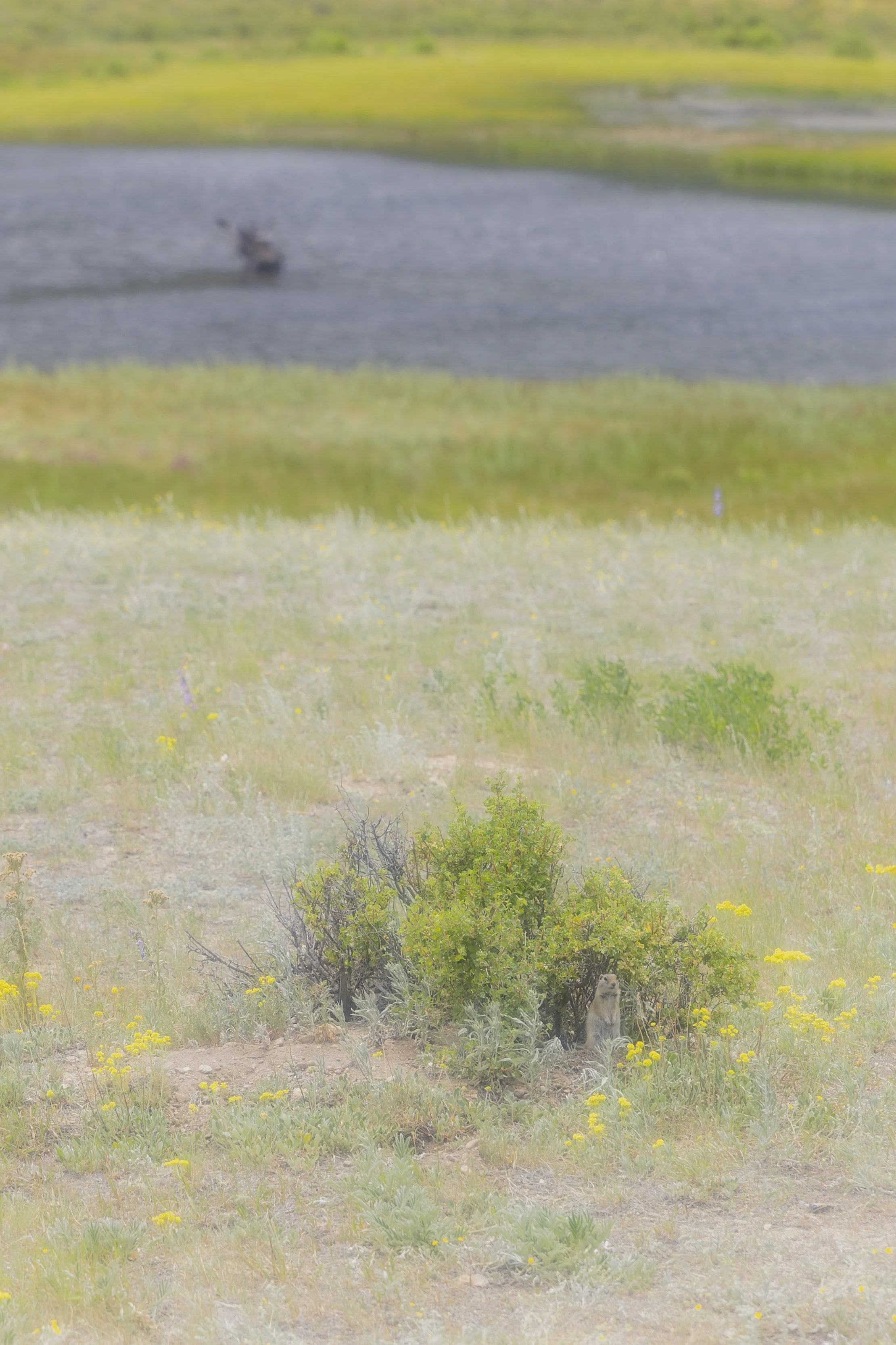 2026. 07. 7- 8 Rocky mountain National Park-2584.jpg
