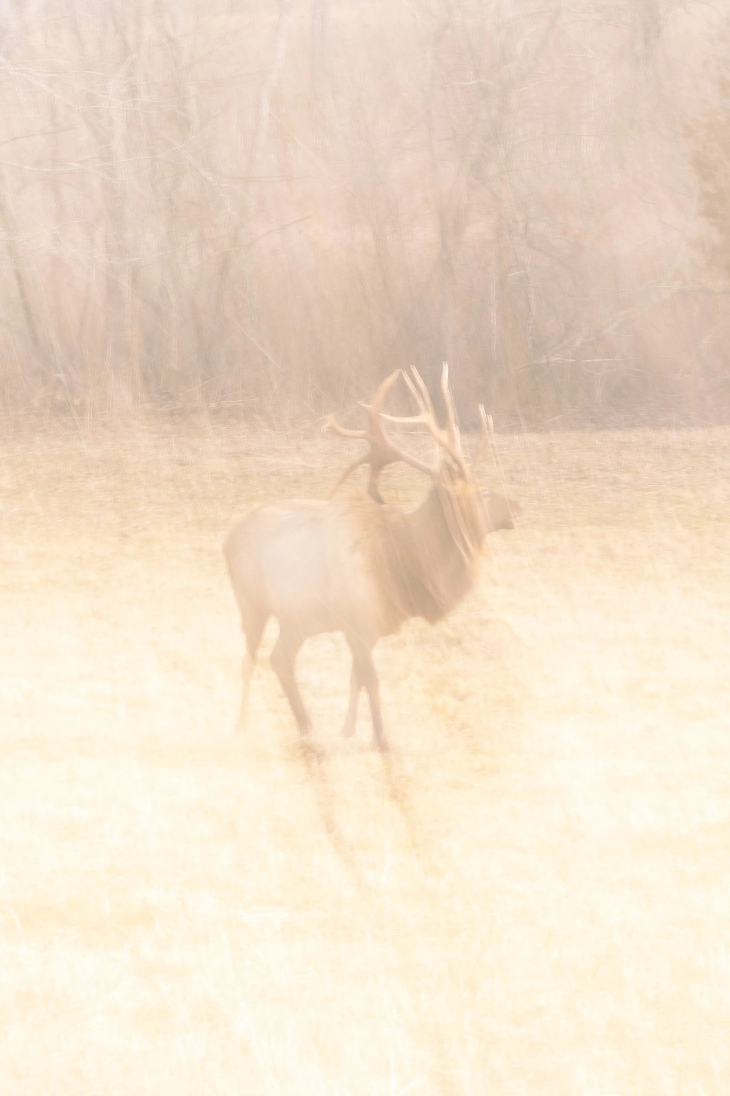 2025. 02. 02 Land Between The Lakes-5608.jpg