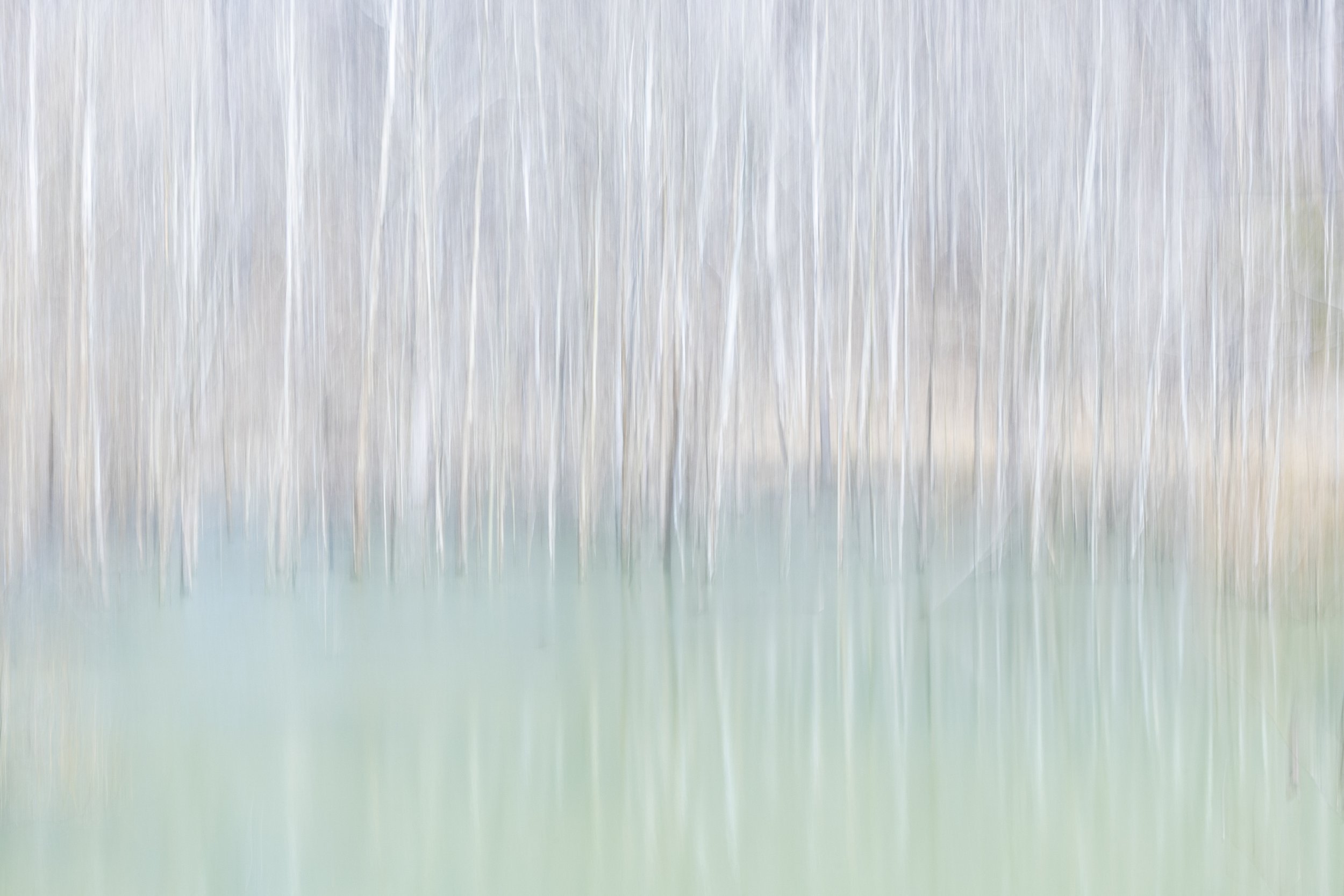 2025. 02. 02 Land Between The Lakes-5963.jpg