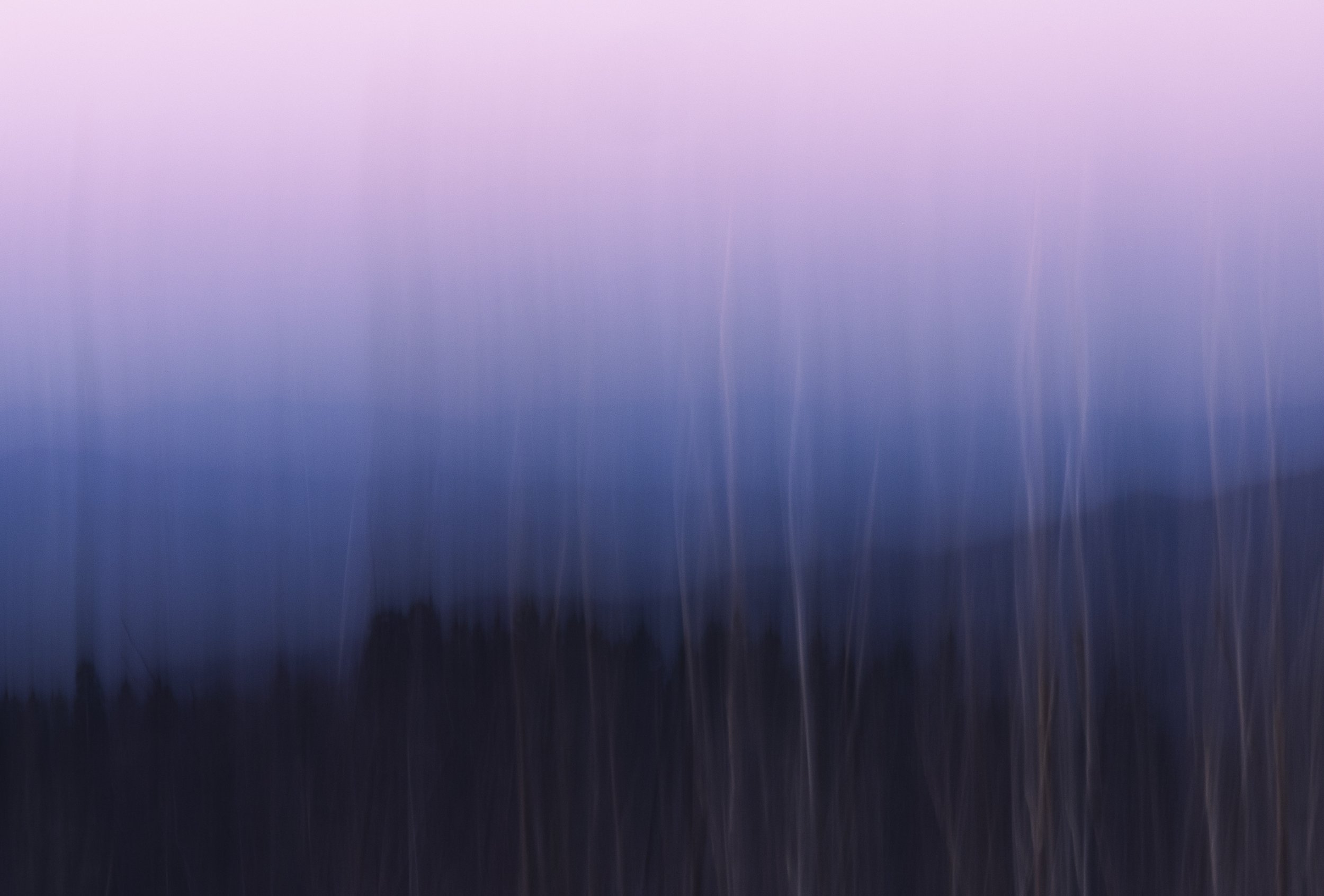 2025. 03. 23. Smokey Mountains-8750.jpg