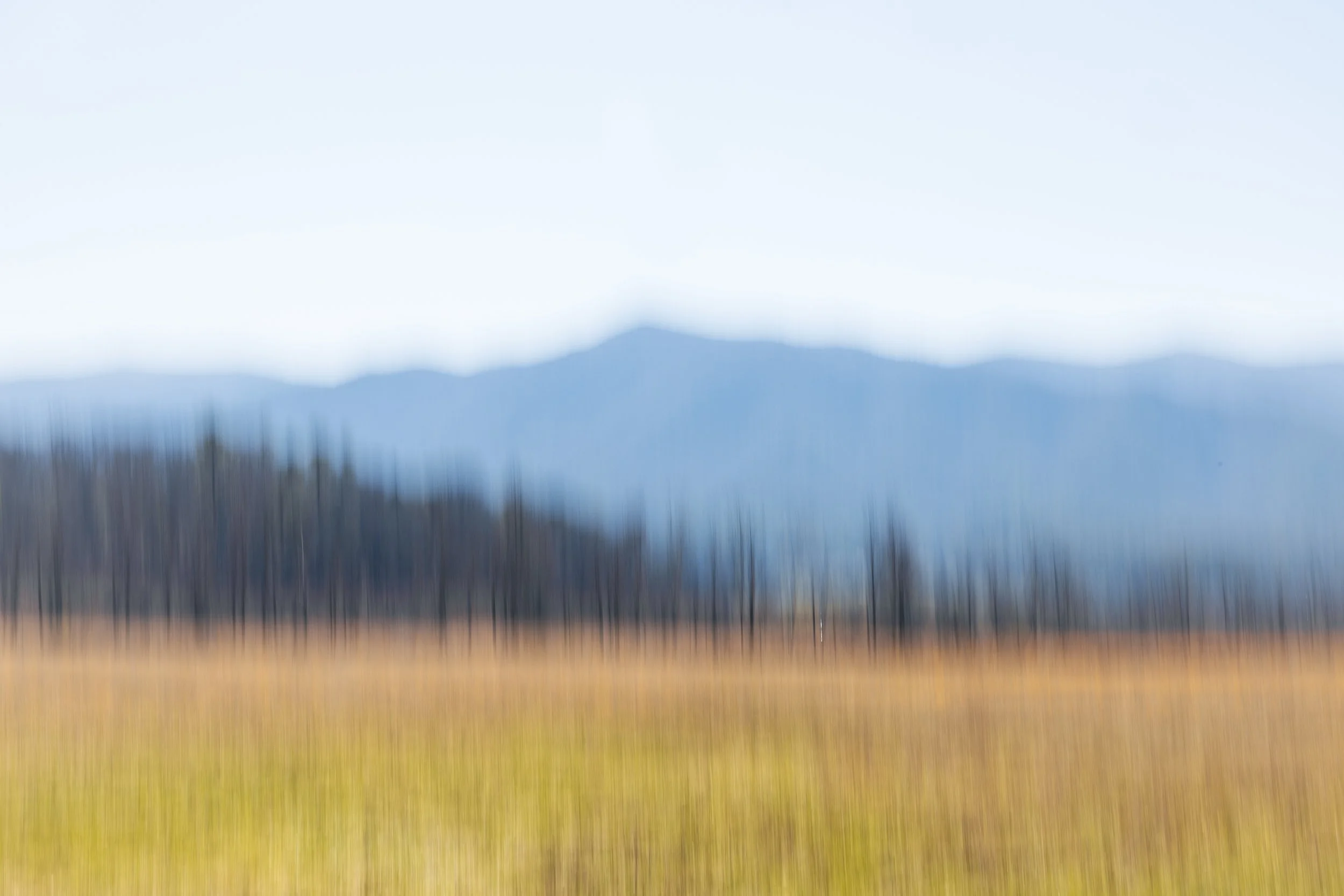 2025. 03. 23. Smokey Mountains-8900.jpg