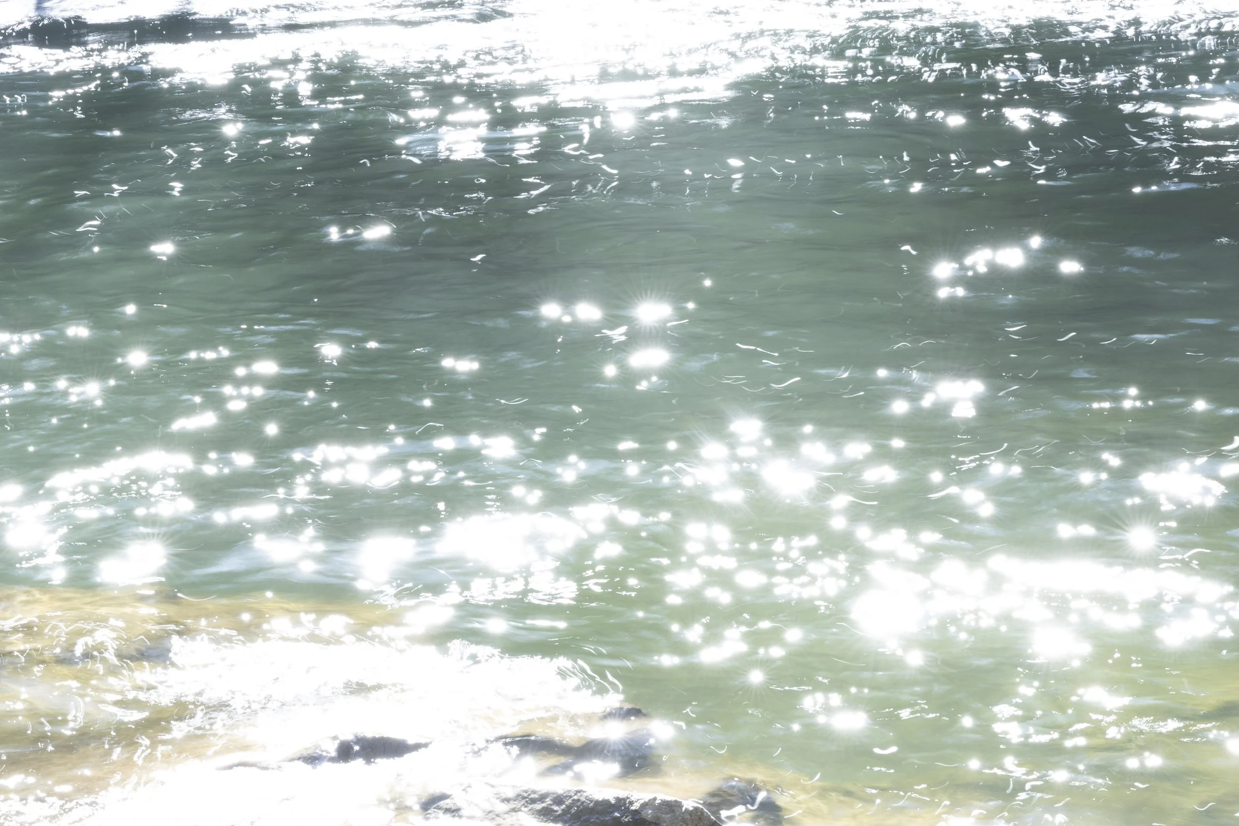 2025. 03. 23. Smokey Mountains-8977.jpg