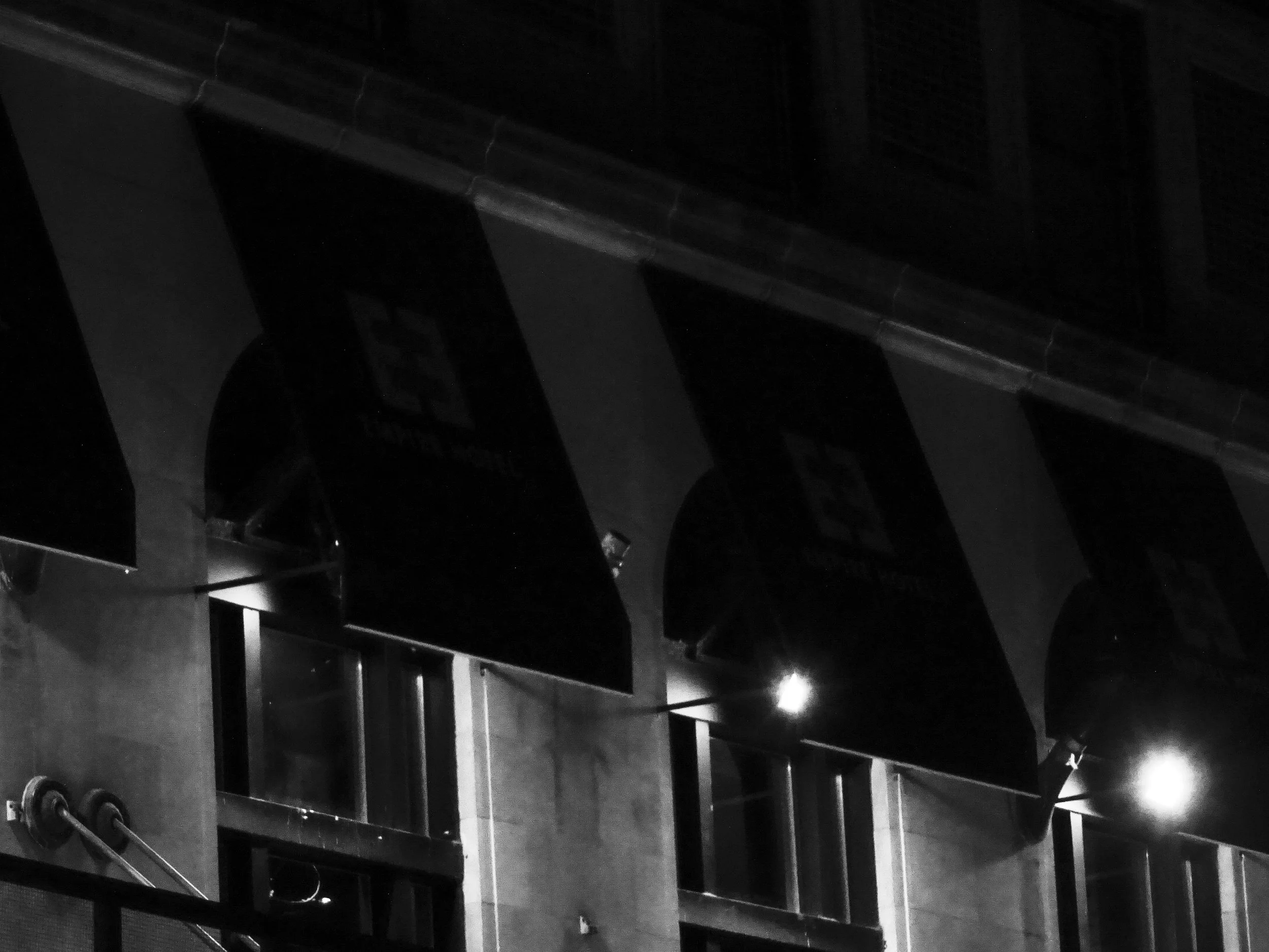 2026. 02. 07. NYC PS-01267.jpg