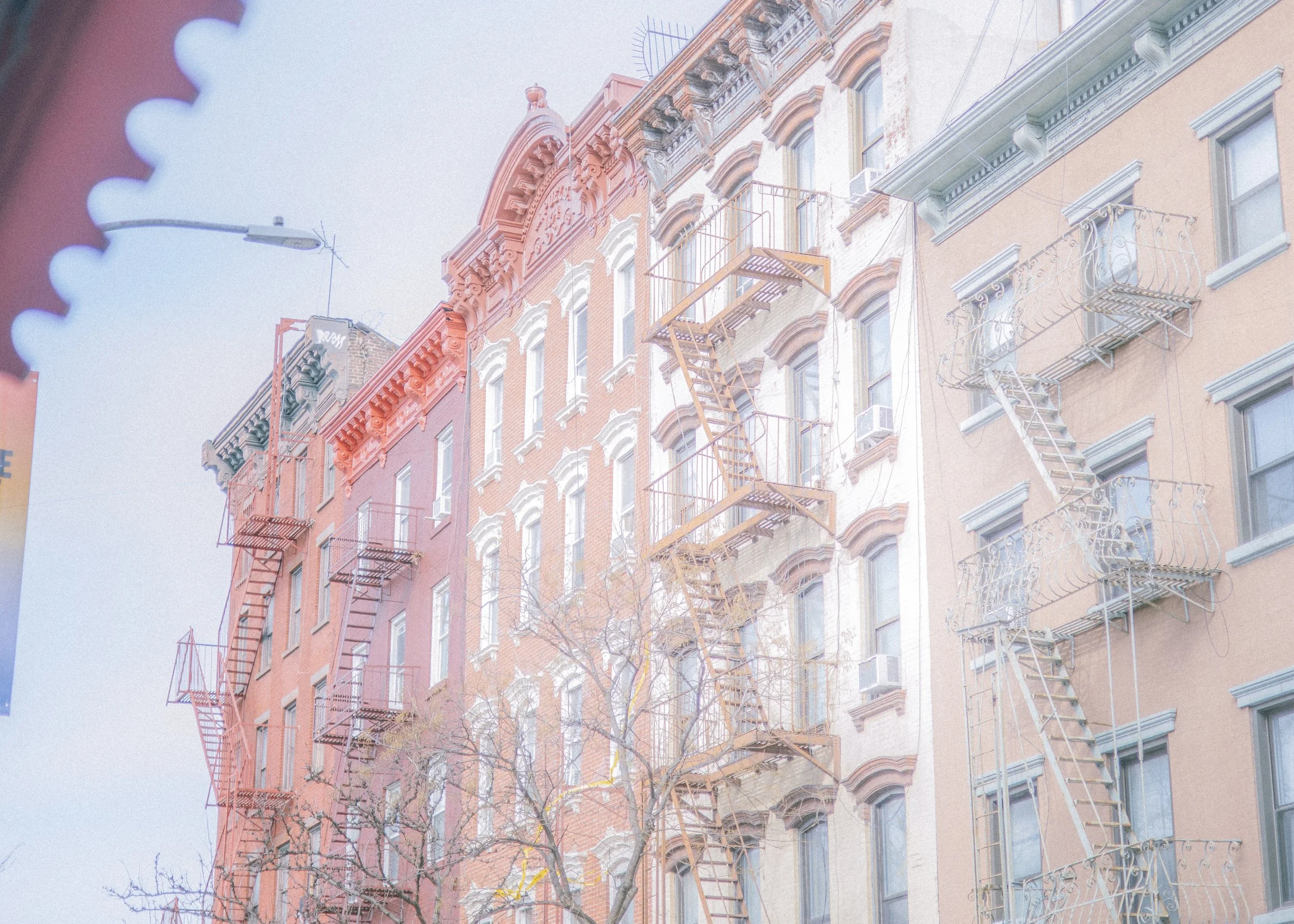 2026. 02. 07. NYC-8424.jpg