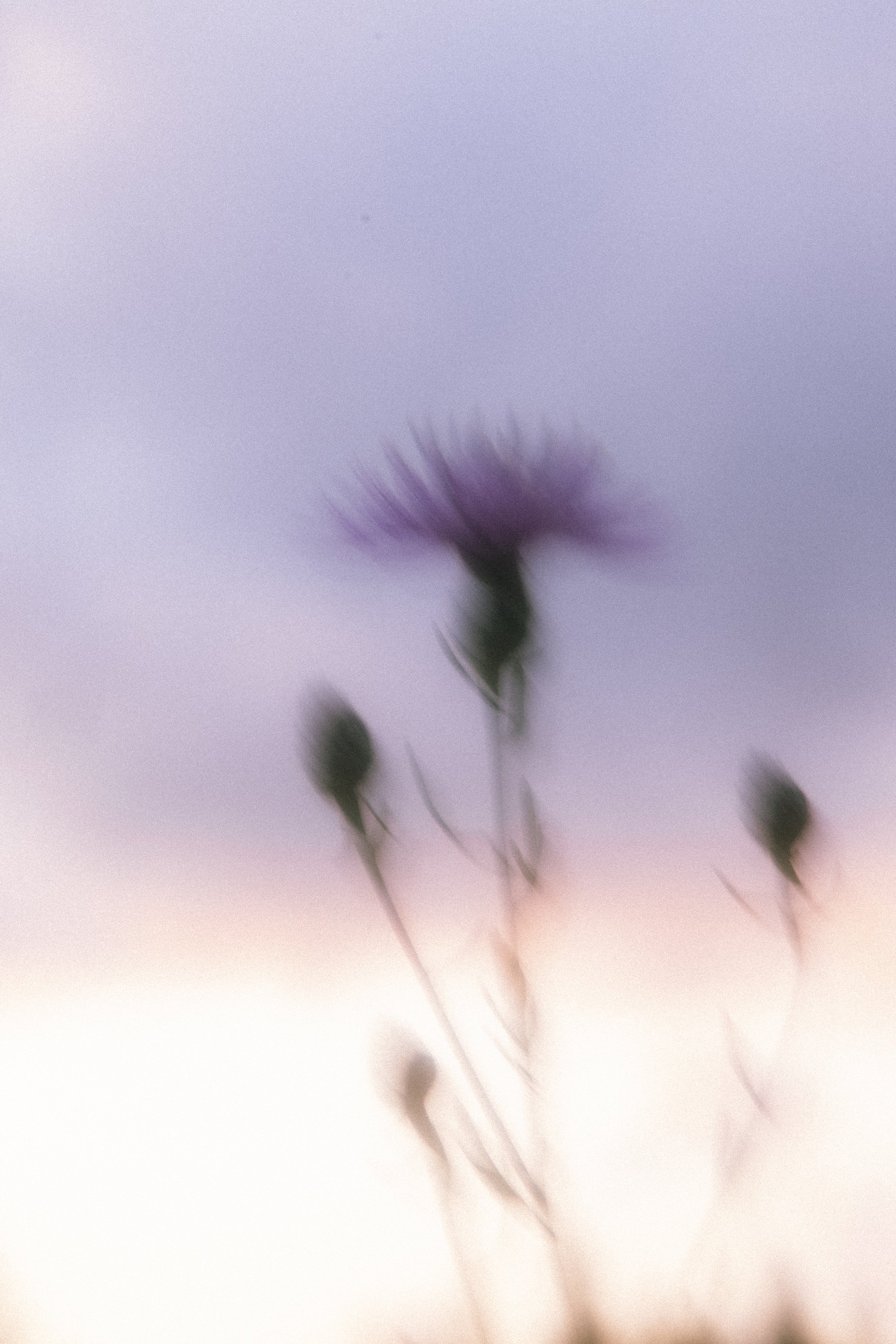 Mind In Motion -1049.jpg