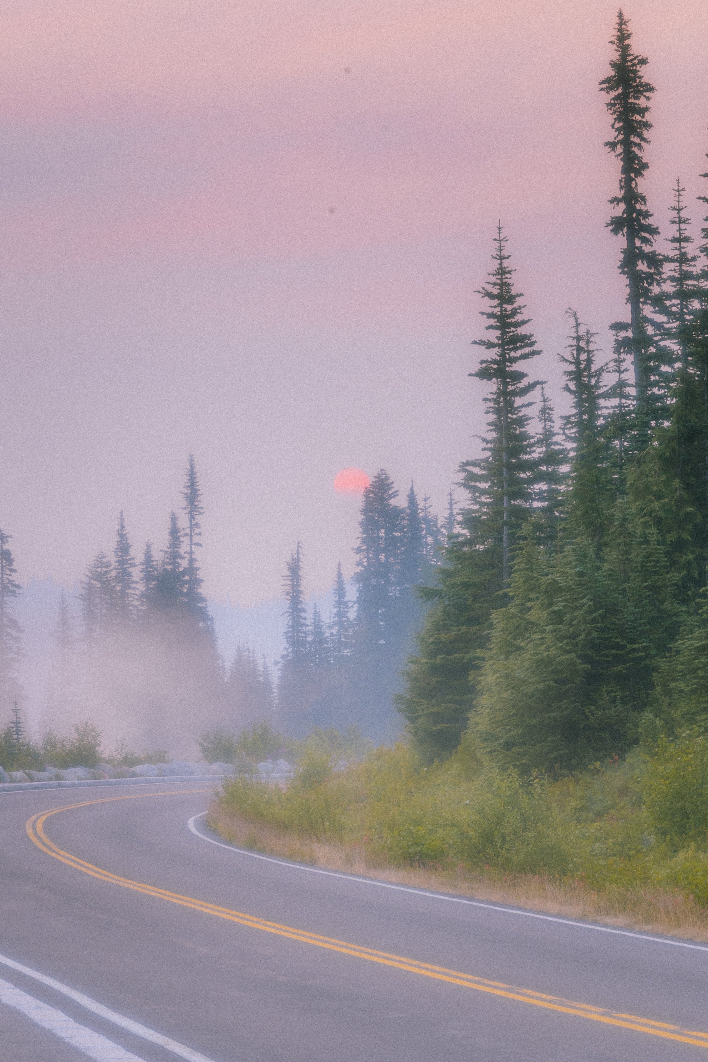 2026. 08. 1-4 NCNP & MRNP-1032.jpg