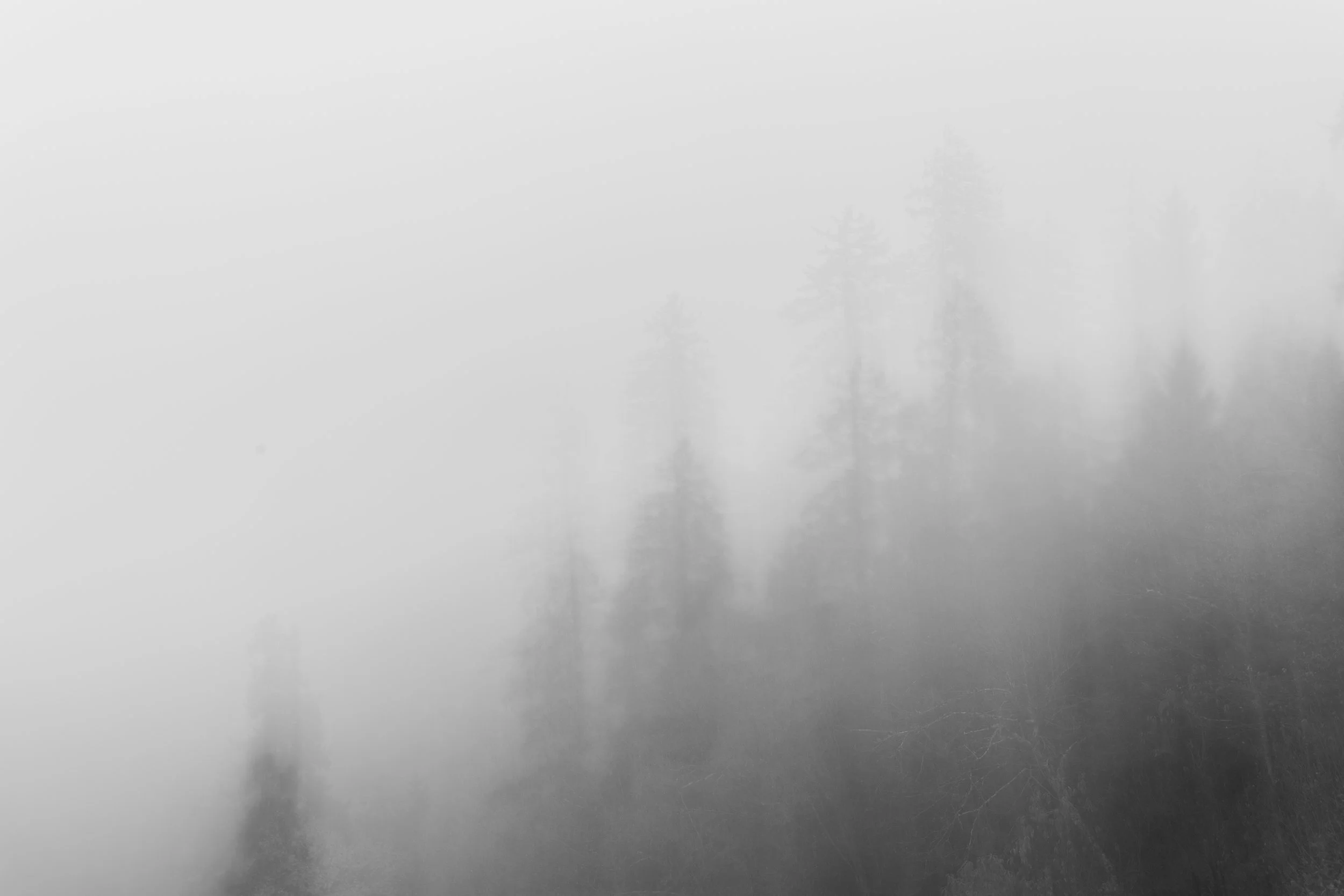 2024. 10. 27. Smokey Mountains-8.jpg