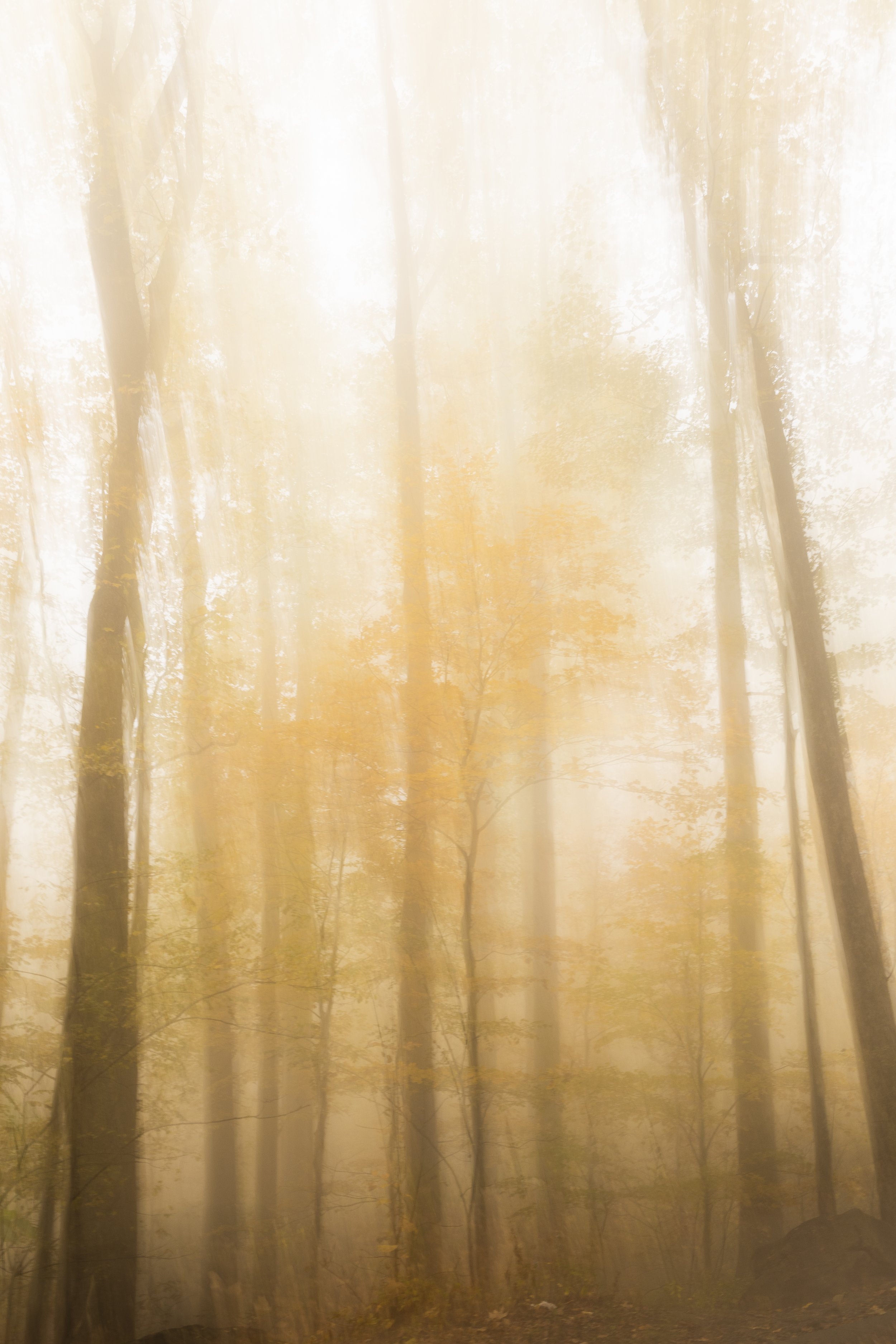 2024. 10. 27. Smokey Mountains-32.jpg