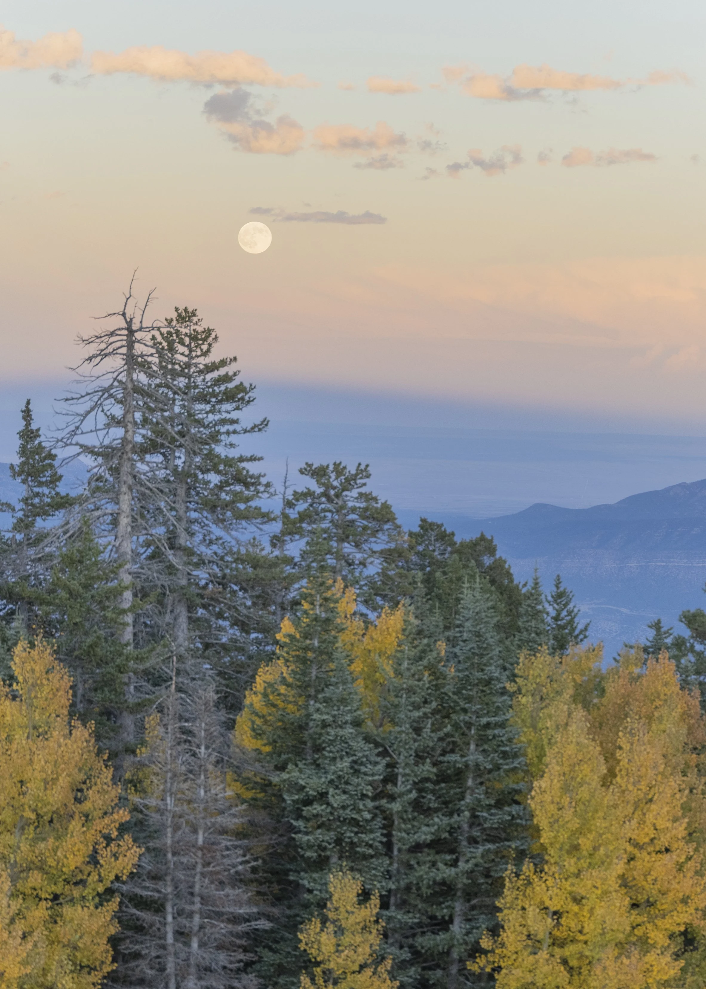Sandia Crest