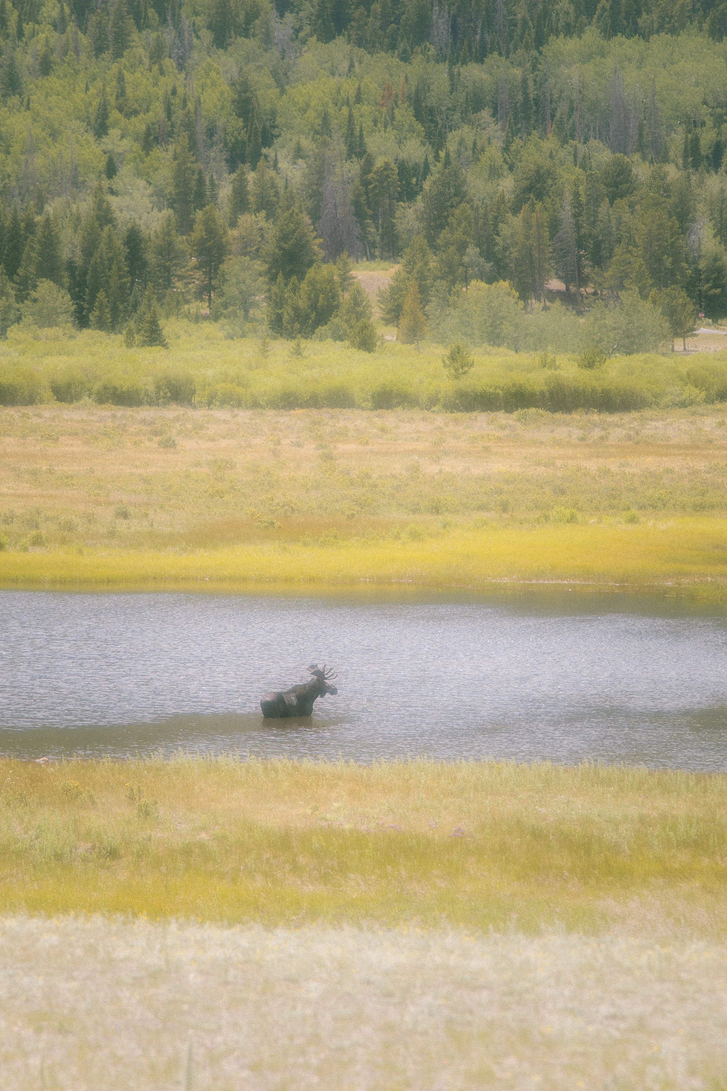 2026. 07. 7- 8 Rocky mountain National Park-2503.jpg