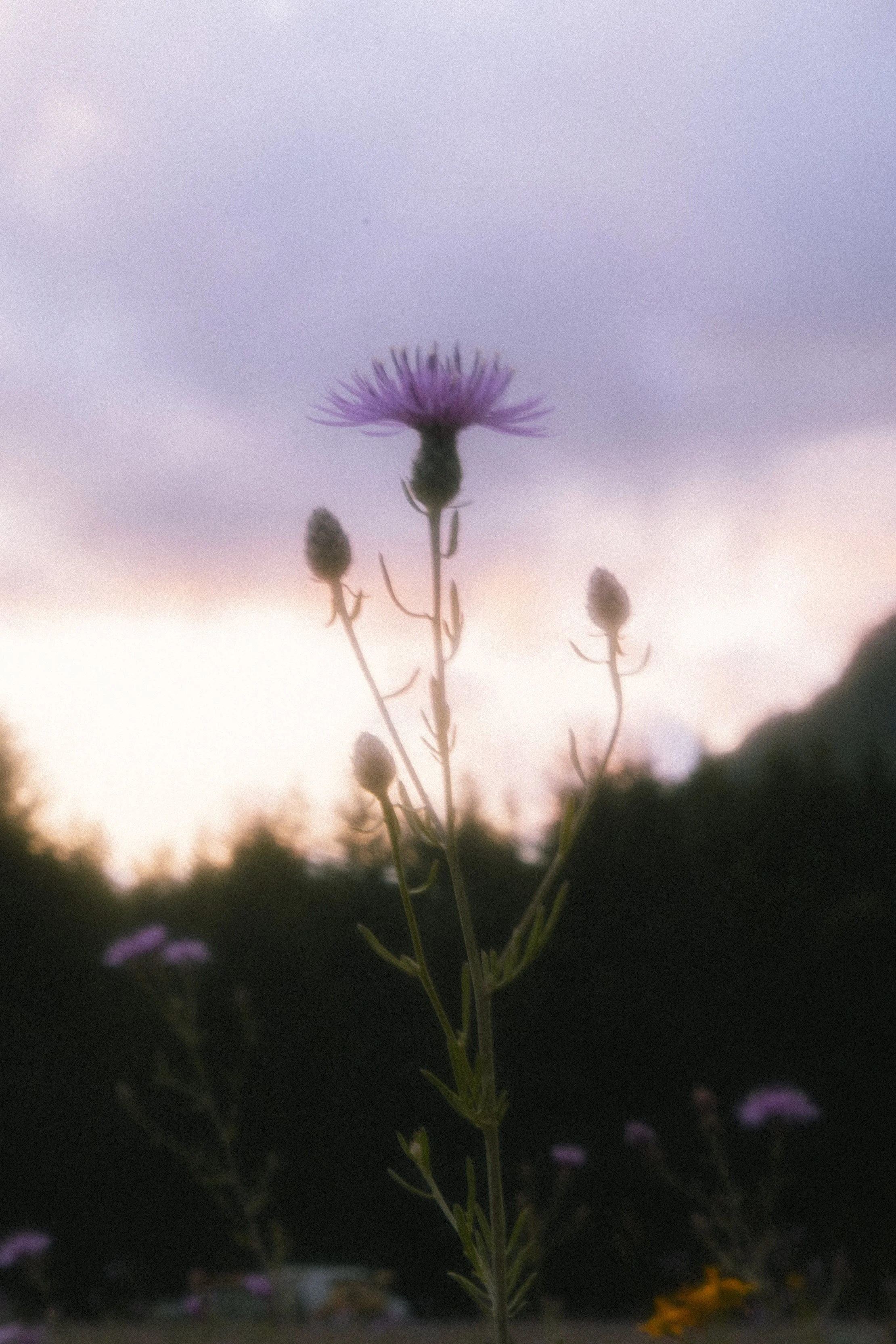 2026. 08. 1-4 NCNP & MRNP-0580.jpg