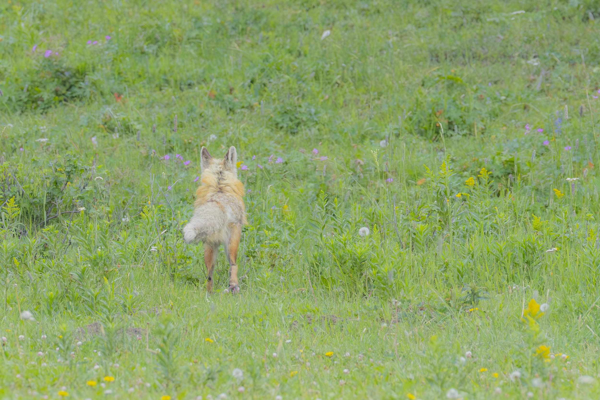 2026. 07. 19-24. YSNP-9041.jpg