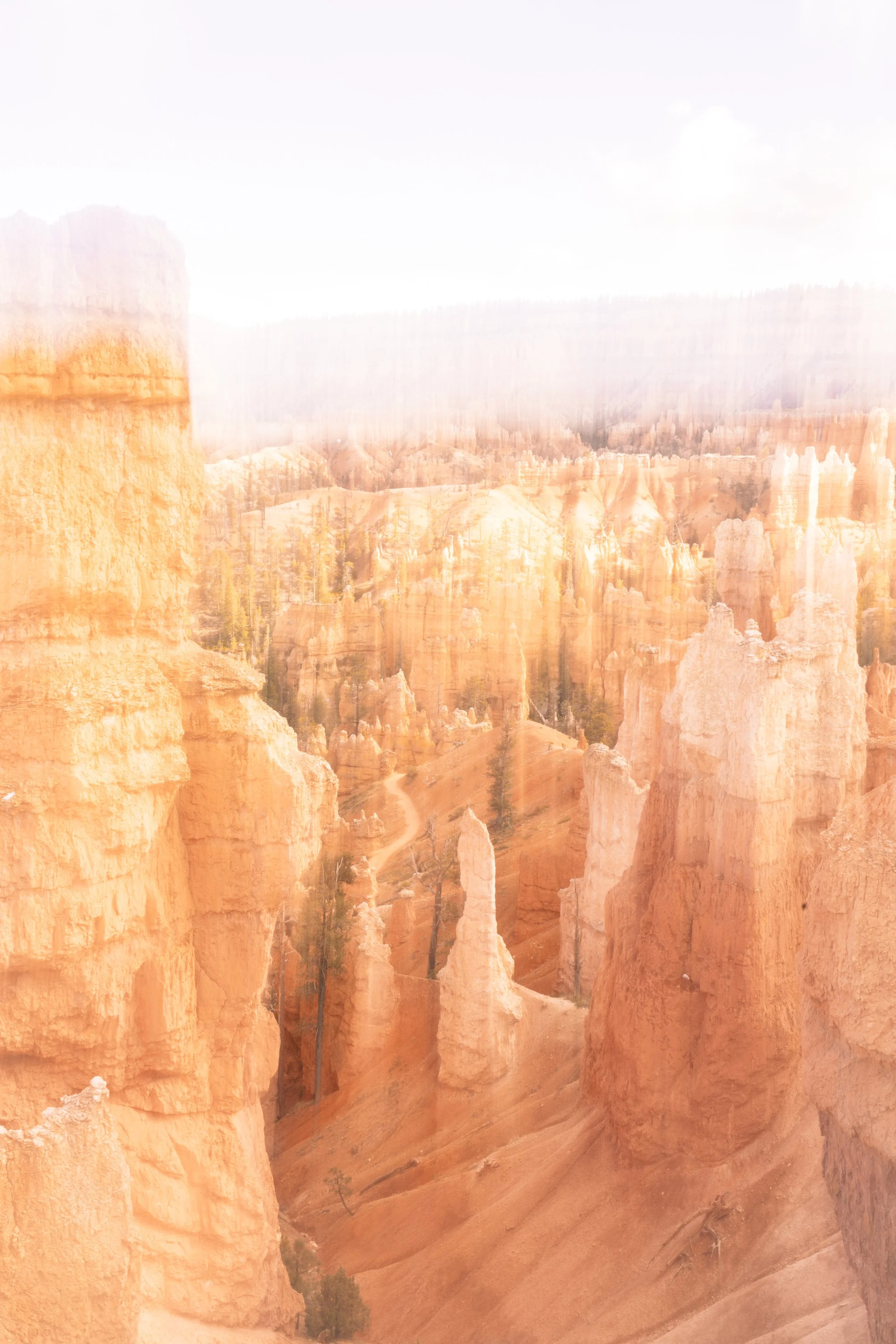 2025. 04. 26. Arizona Utah Trip 1-0911.jpg