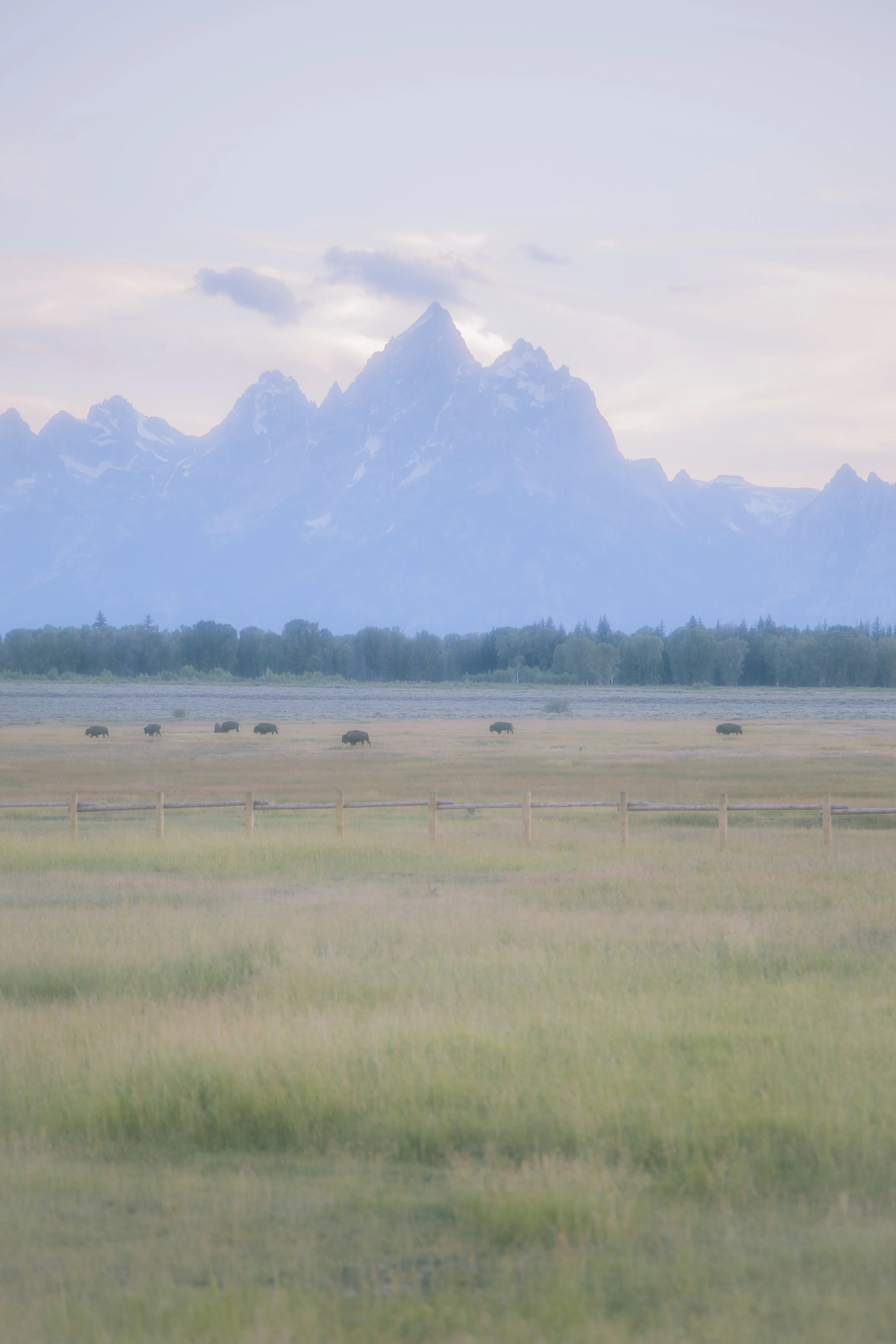 Grand Teton