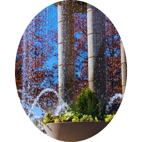 A fountain with water spraying into a bowl surrounded by plants, with tall trees and autumn-colored leaves in the background.