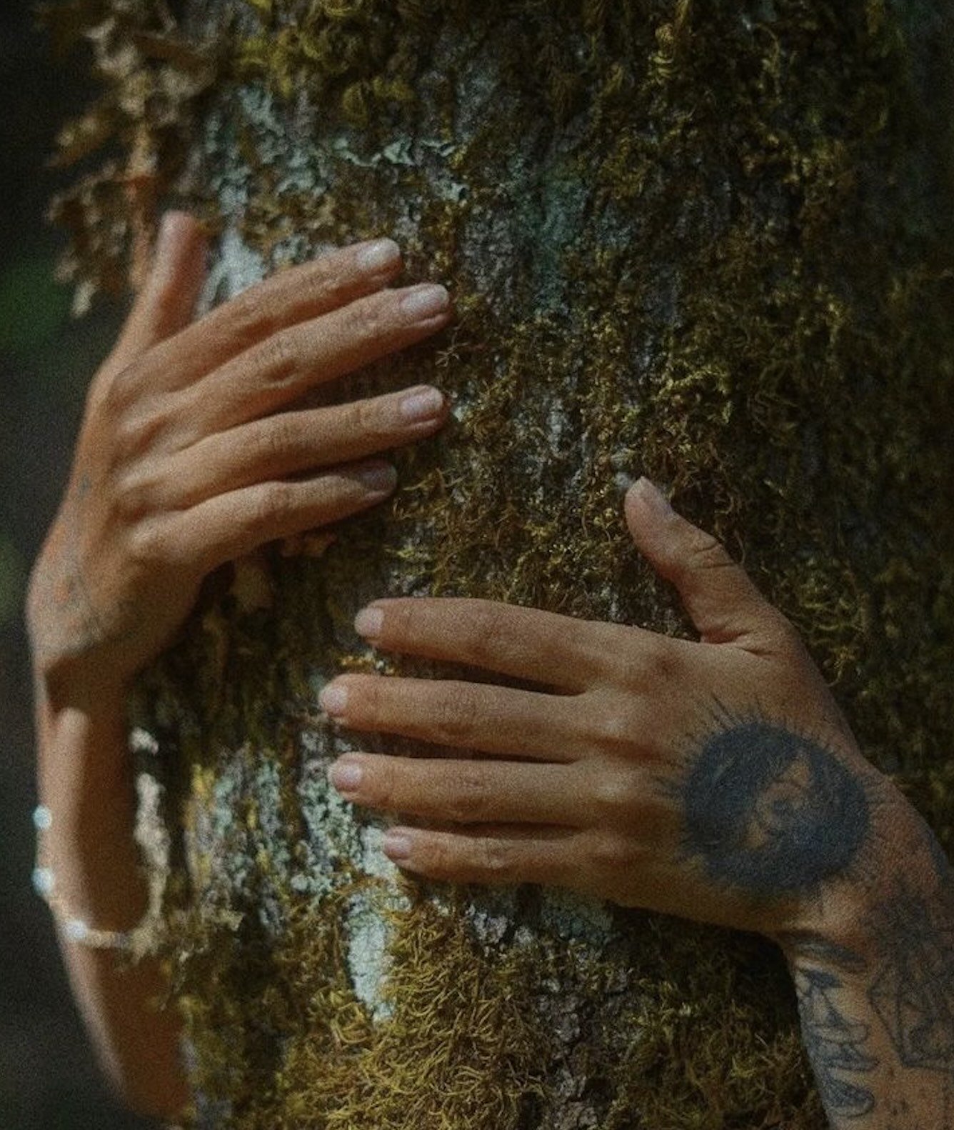 Hands resting gently against the trunk of a tree.