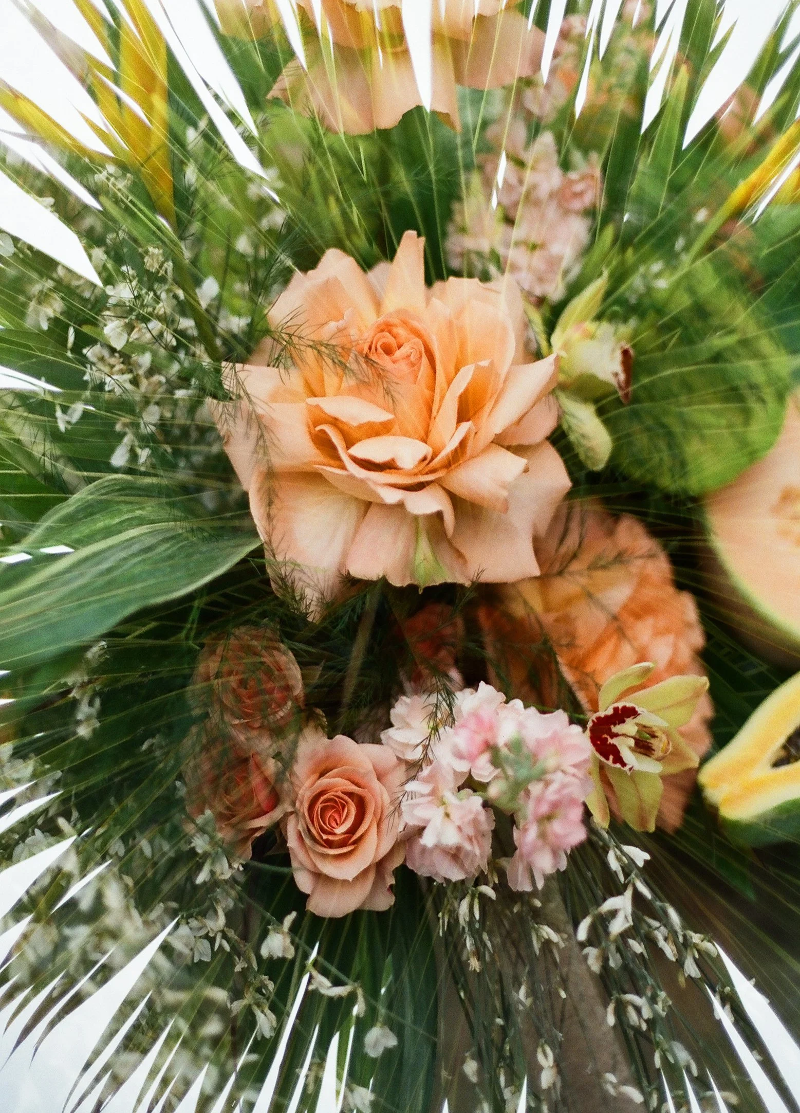 A close-up view of a bouquet of peach-colored roses, surrounded by green foliage and white flowers, with a background of palm leaves.