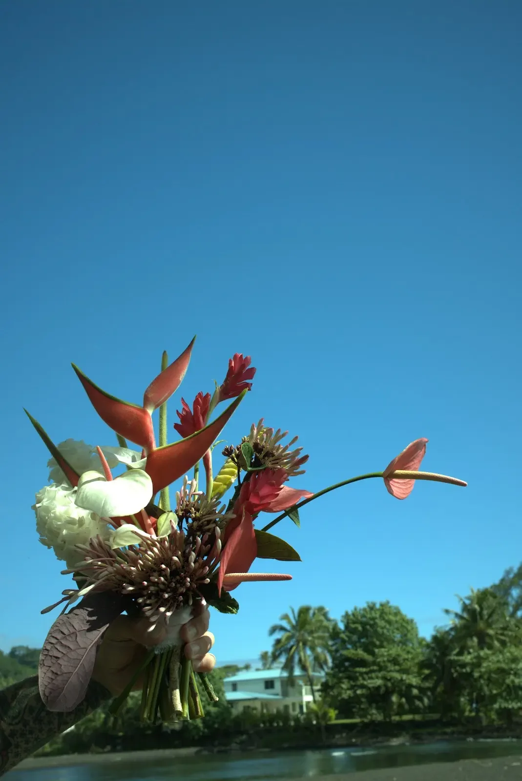 DSCF1300.raf.webp