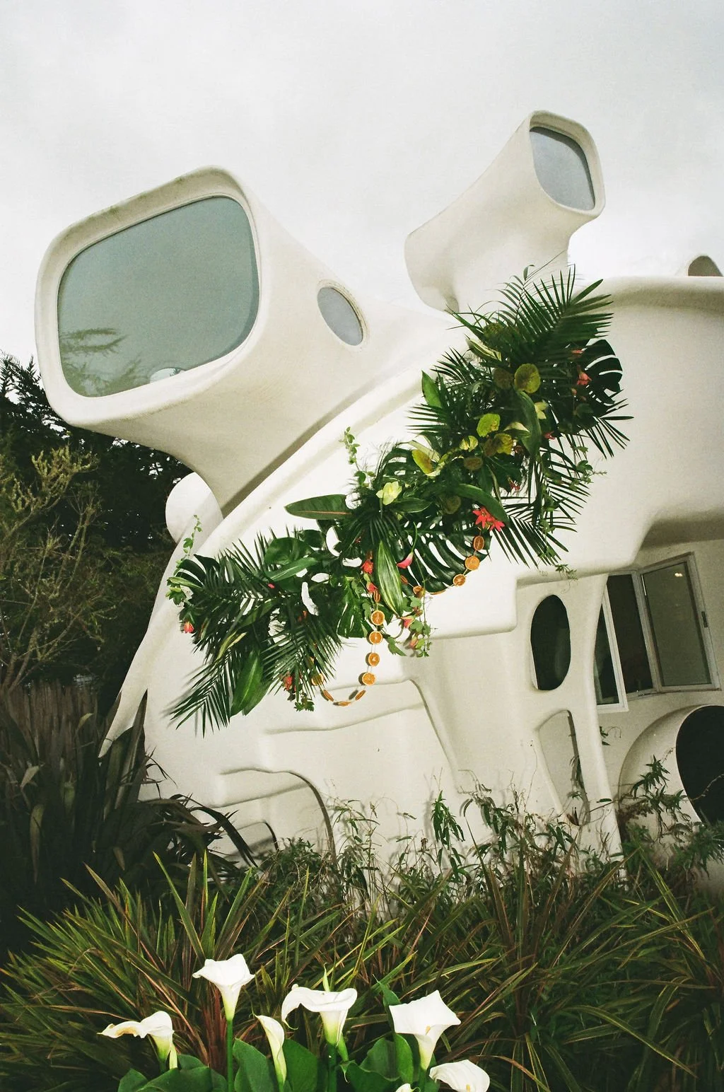 A futuristic white house with rounded windows and a unique design, decorated with tropical plants and flowers.