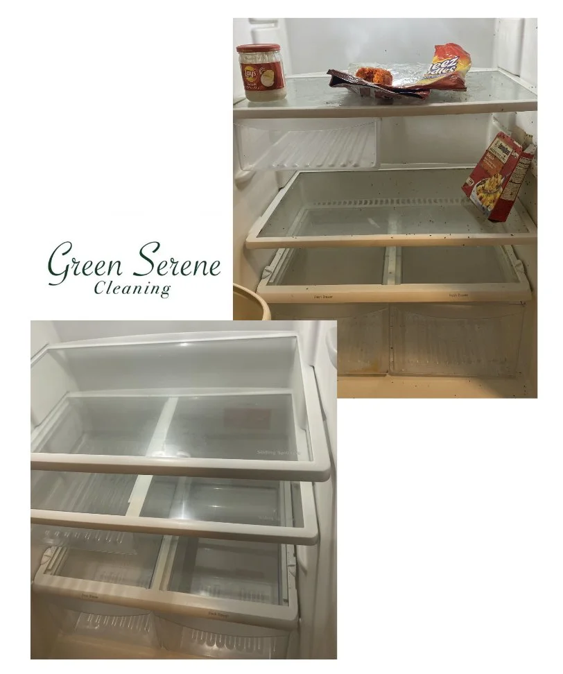 Fridge Deep Cleaning