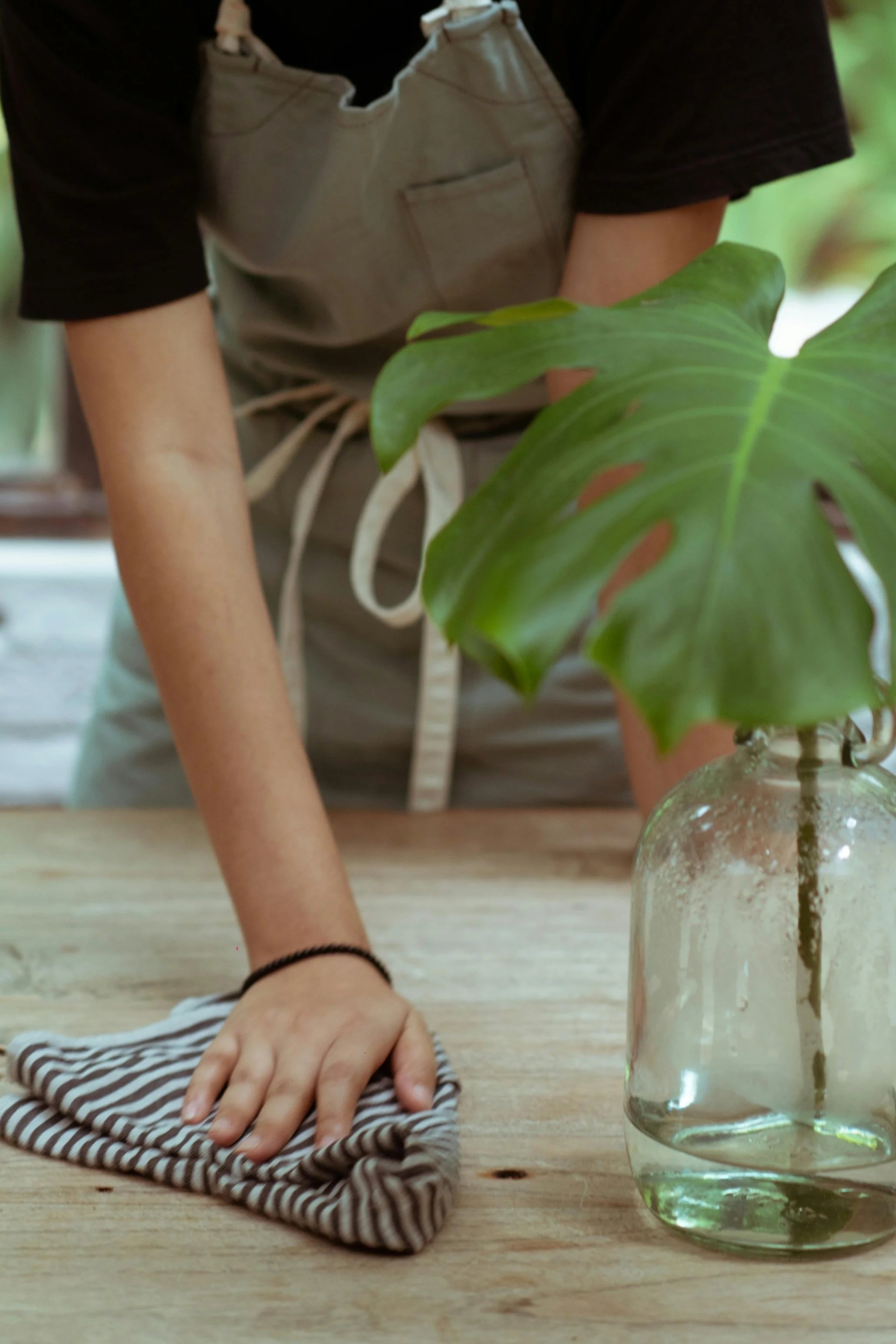 Move Out/ Move in Cleaning