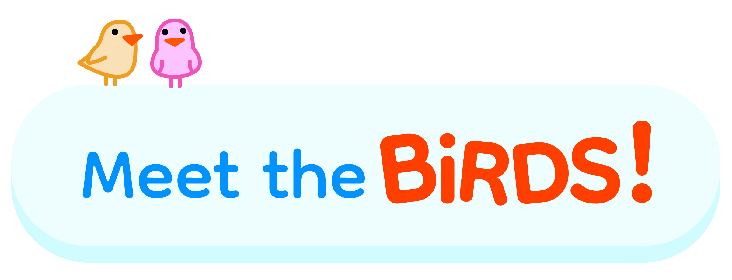 Graphic with cartoon birds and text that says 'Meet the BIRDS!' for learning toddlers.
