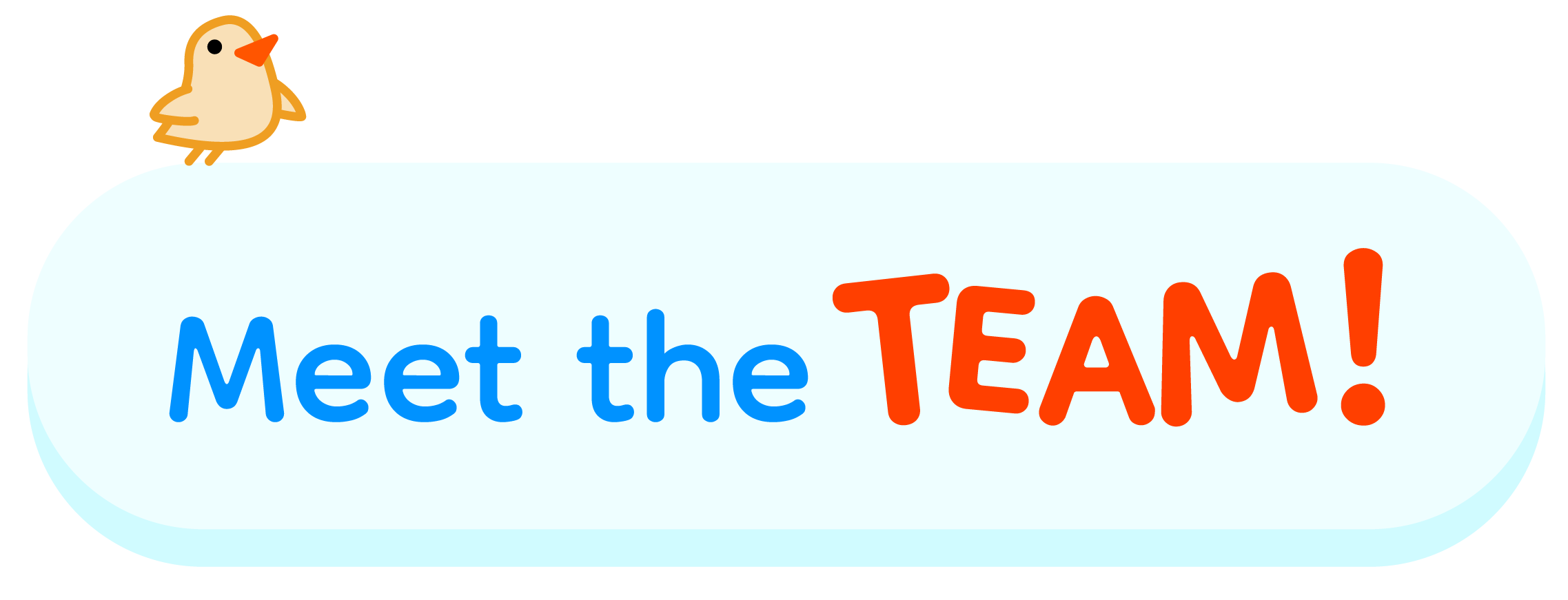 Illustration with a small bird on top left, a light blue rounded rectangular banner with the words "Meet the TEAM!" in blue and orange text.