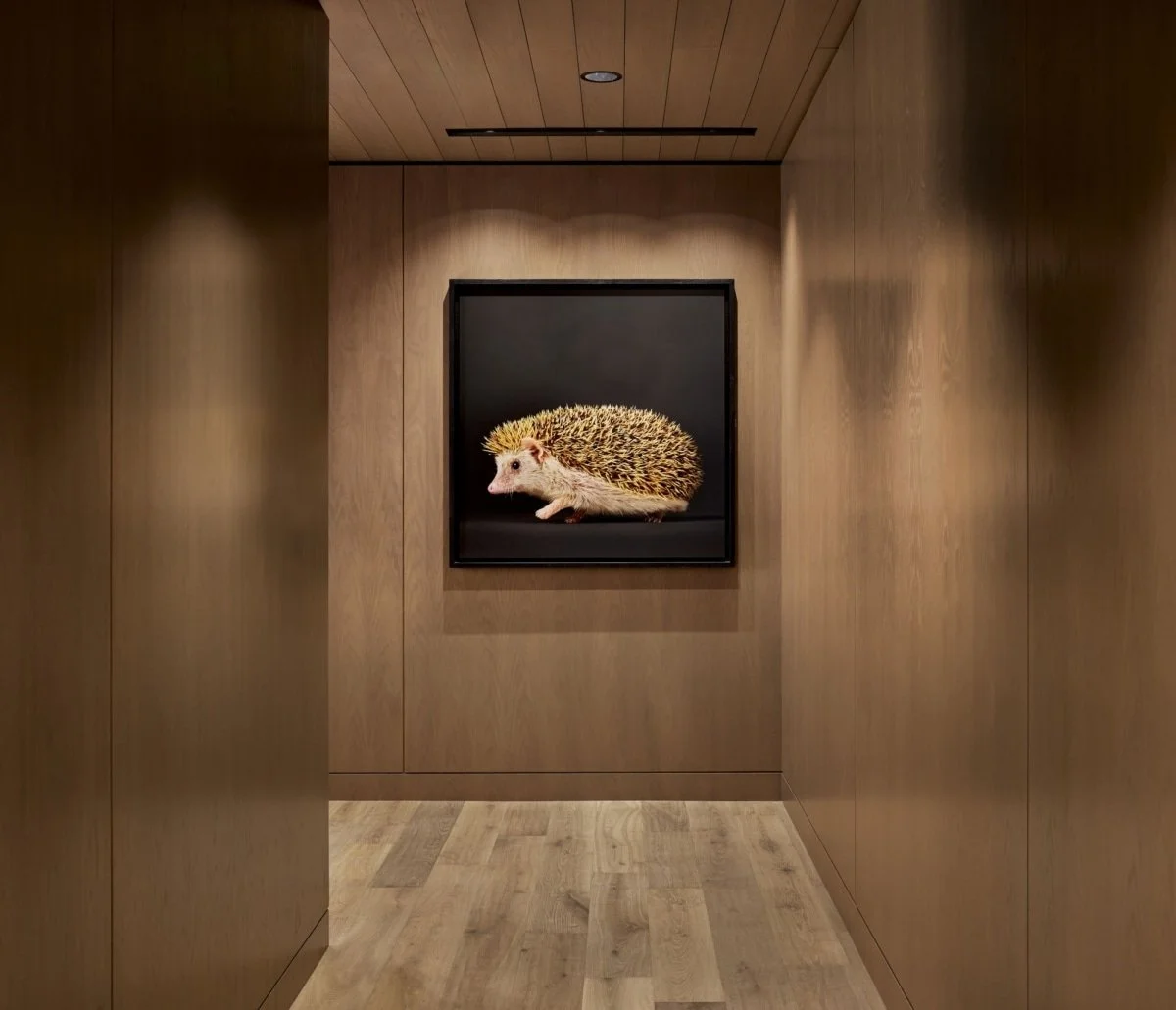 Canopy Management Confidential Venture Altos 7.jpg