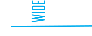 Citywide Gospel Campaign
