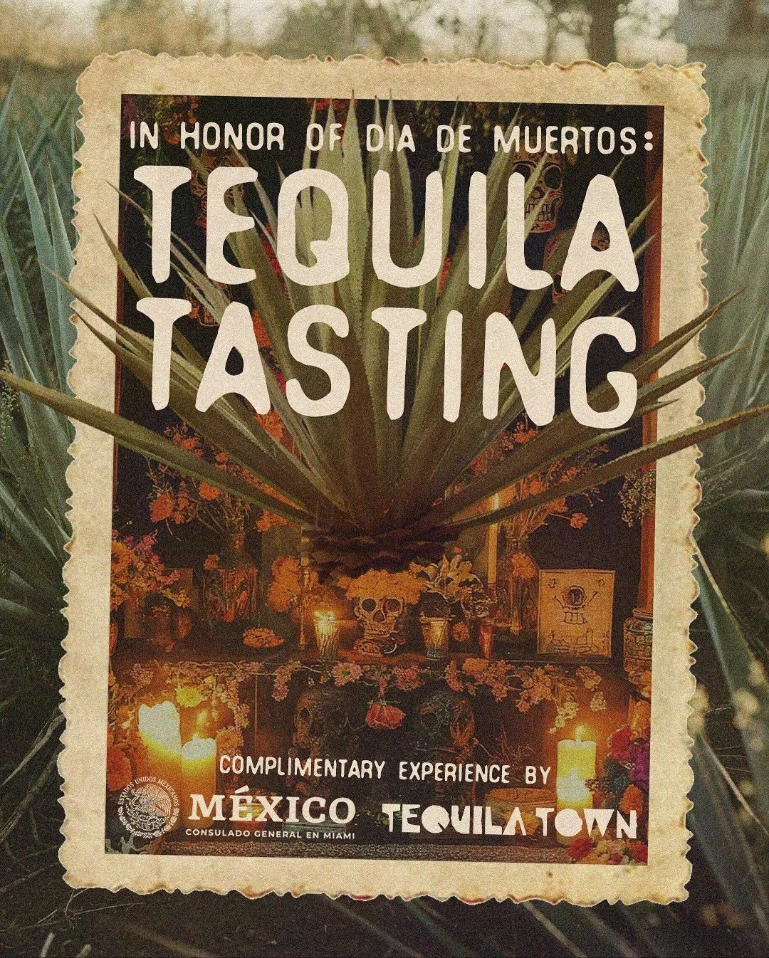 What to Expect at Tequila Town