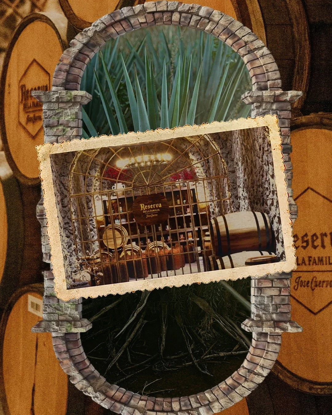 Why Tequila Town Is Miami’s Most Unique Experience