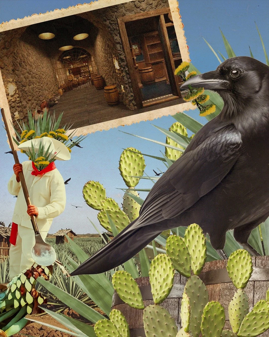 Tequila Town vs Traditional Tequila Festivals