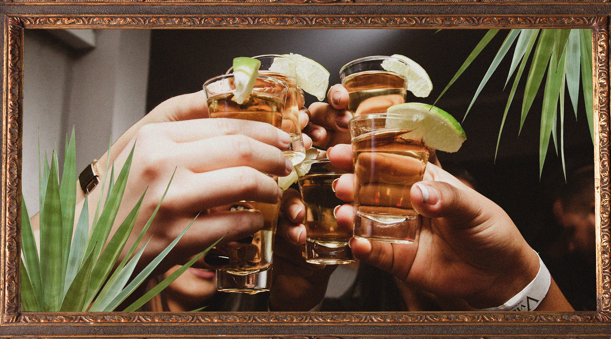 Tequila Tasting Experience in Miami: Discover the True Taste of Agave